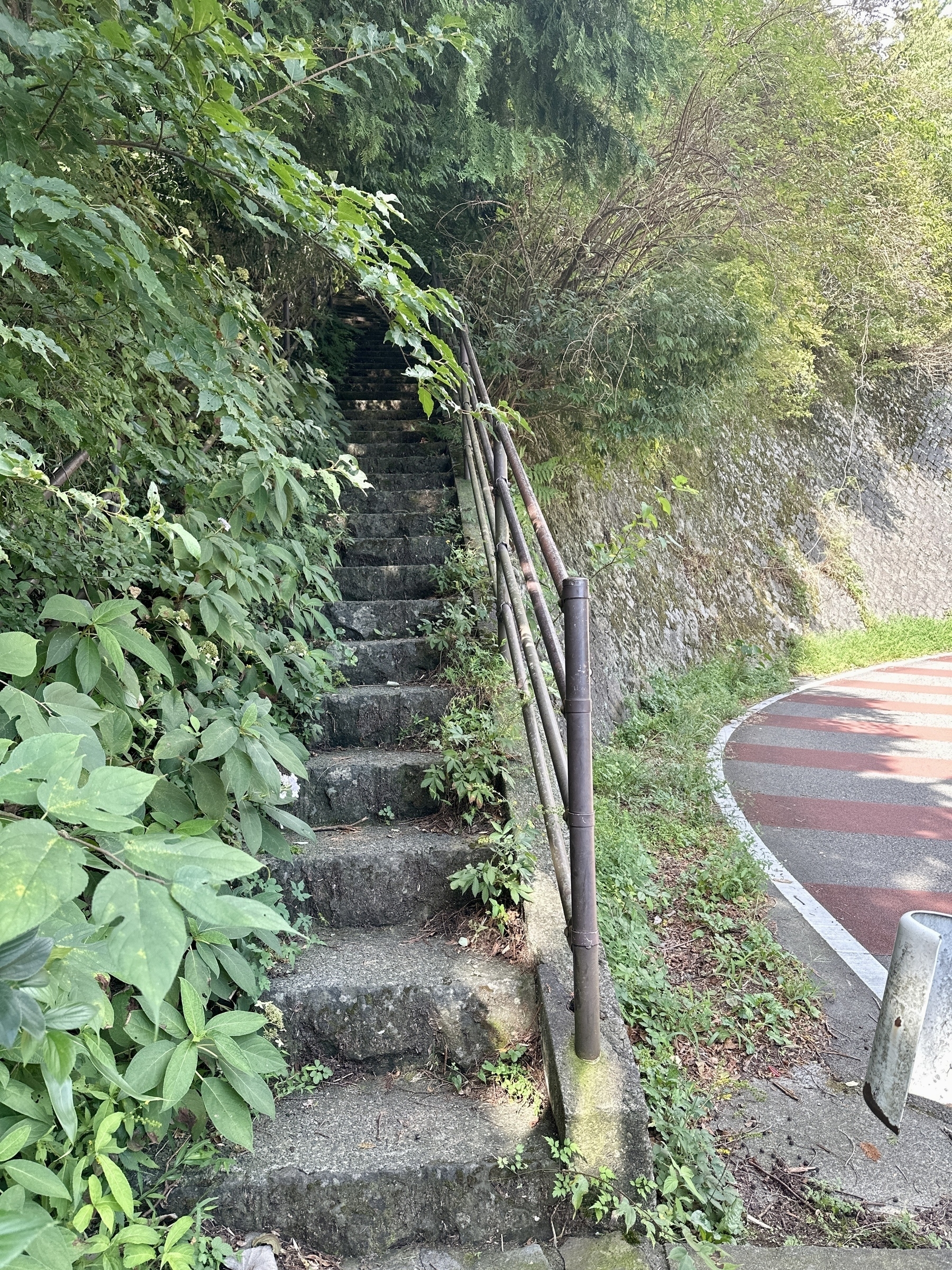 Photo of Stairs on the old Tokaido next to the modern road