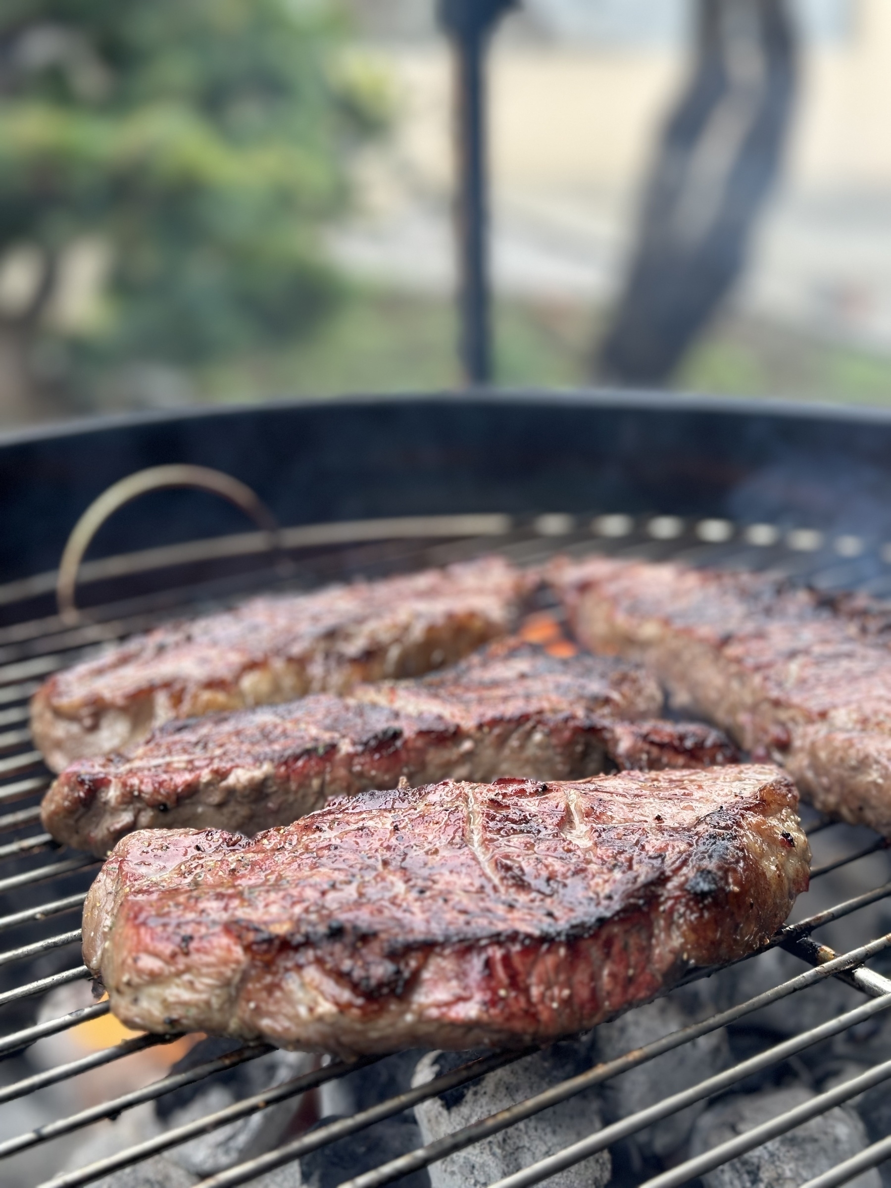 Four thick steaks being cooked on a barbecue grill, over hot charcoal. 