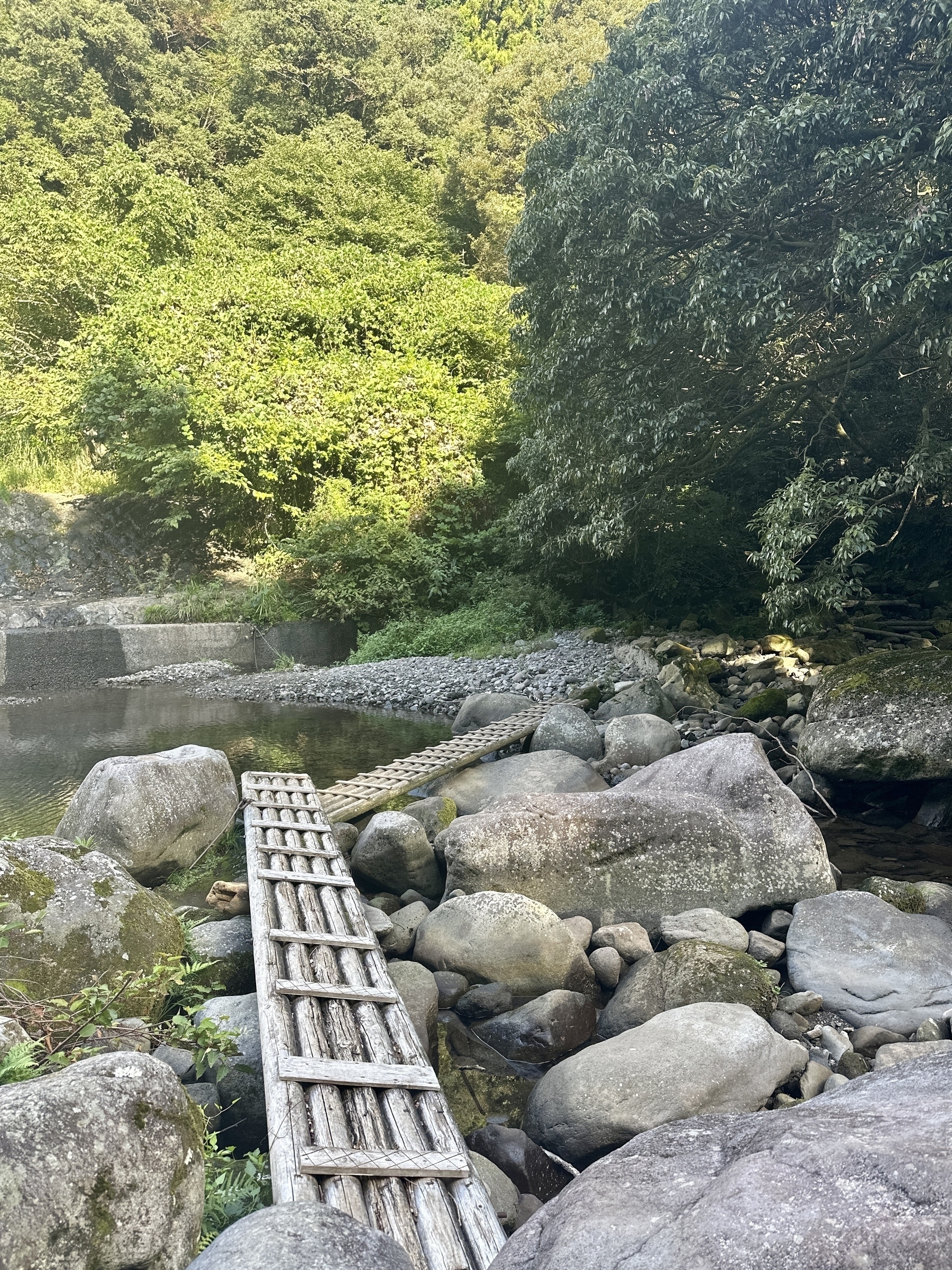 Photo of a wooden bridge placed across a river
