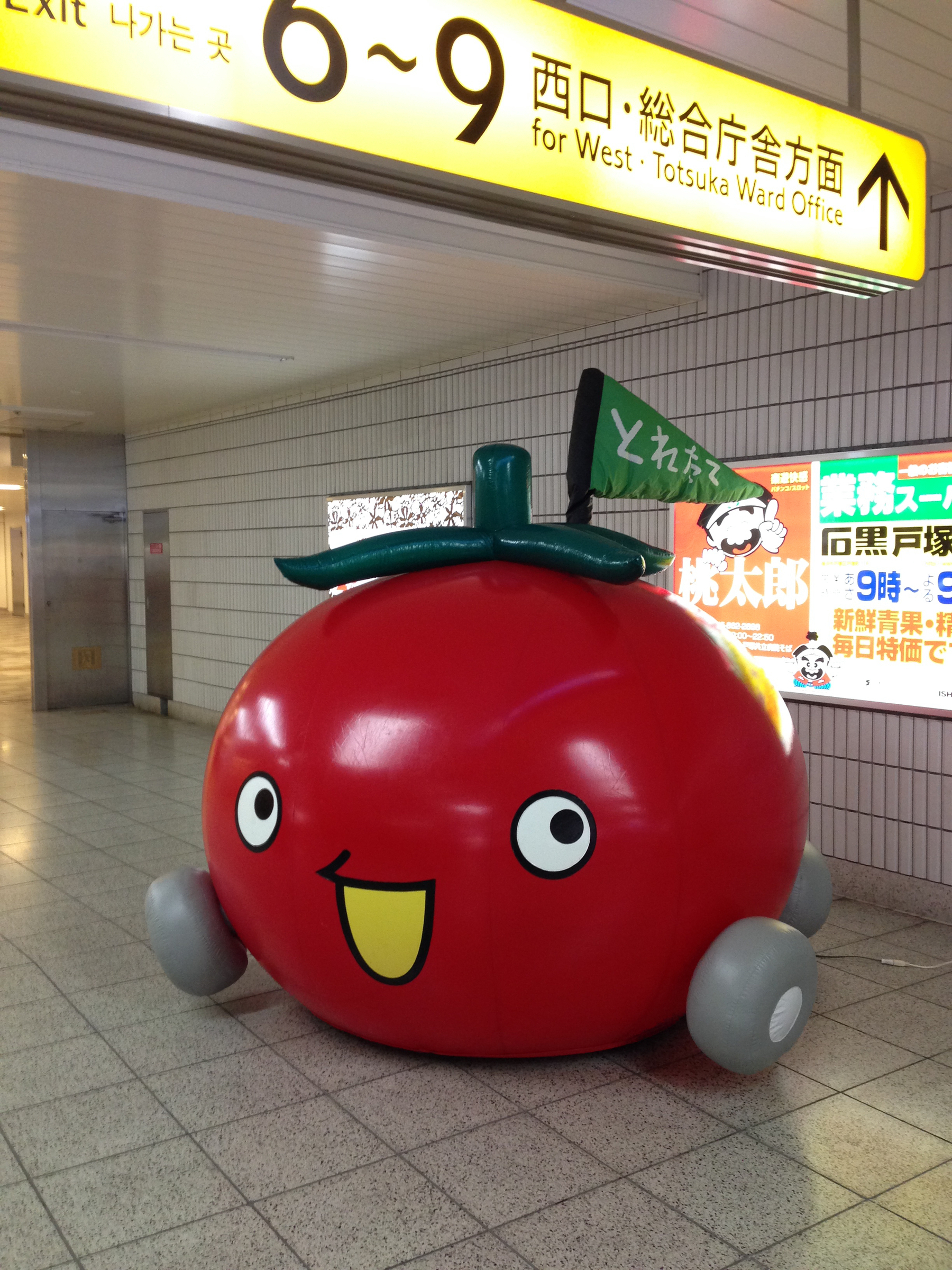 Blow up tomato mascot 