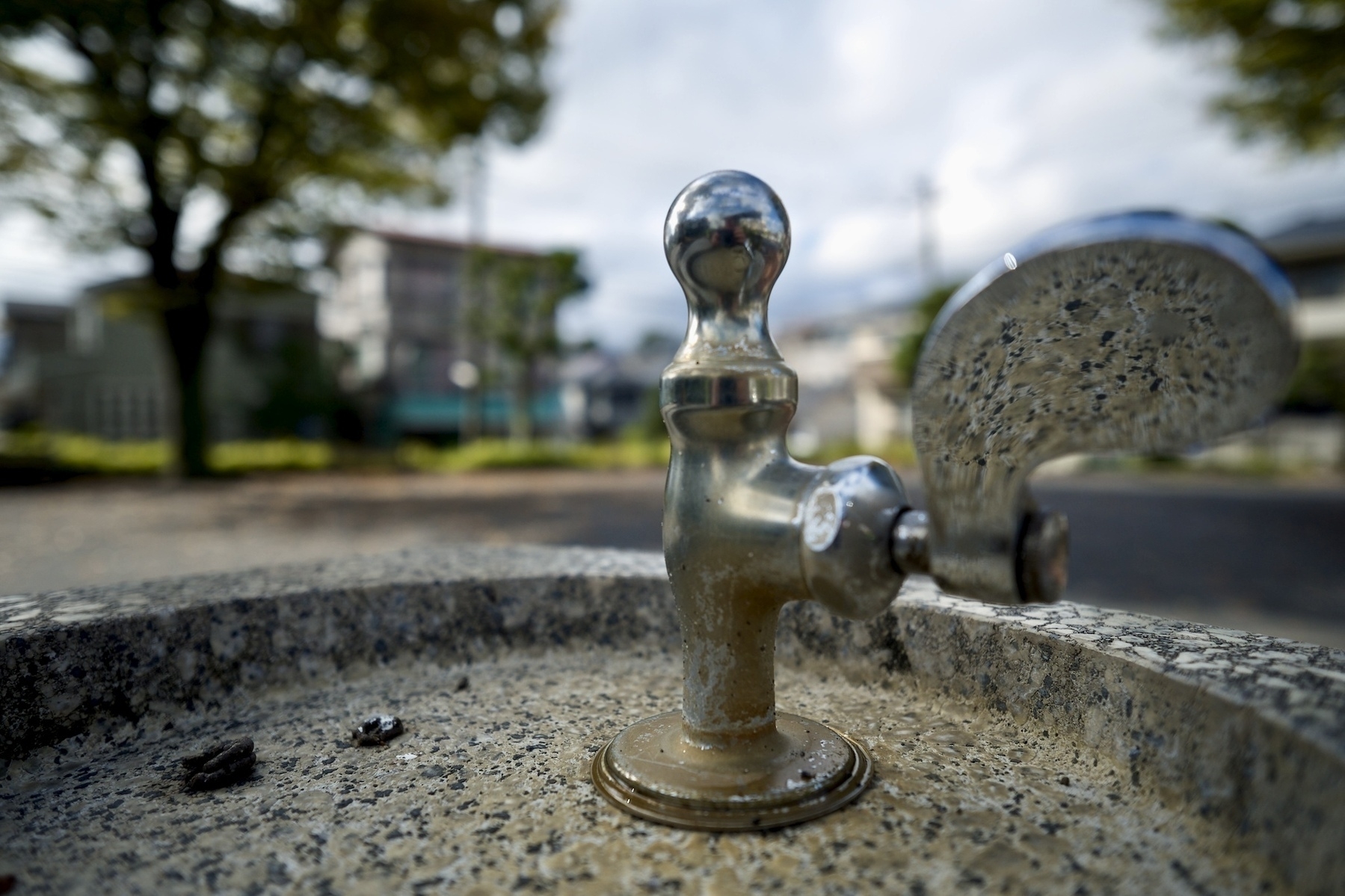 Water fountain in Japan park. 