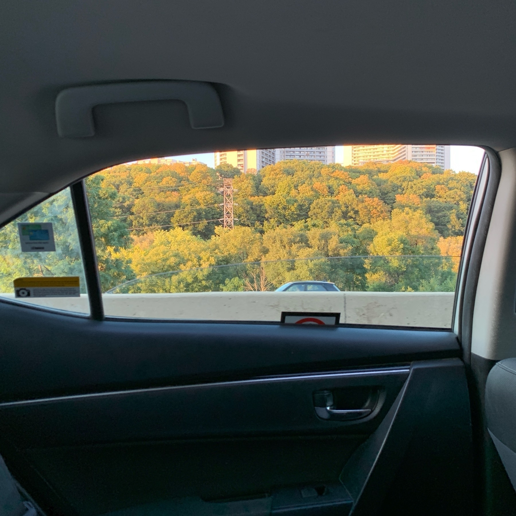 Looking out a taxi window at the Don Valley in Toronto. 