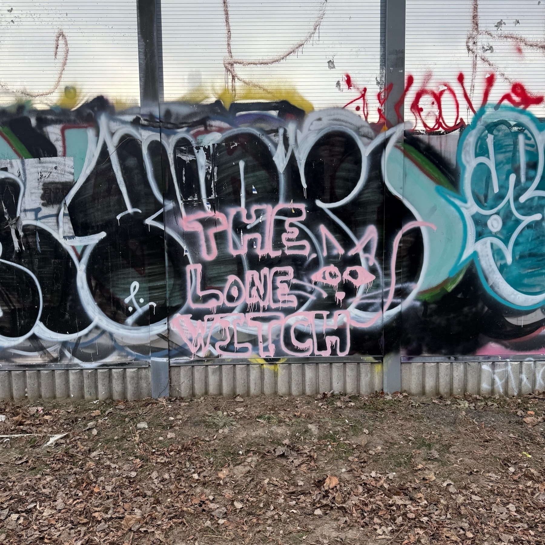 Graffiti on a barrier between a walking path and train tracks reading "The Lone Witch" with a cat.