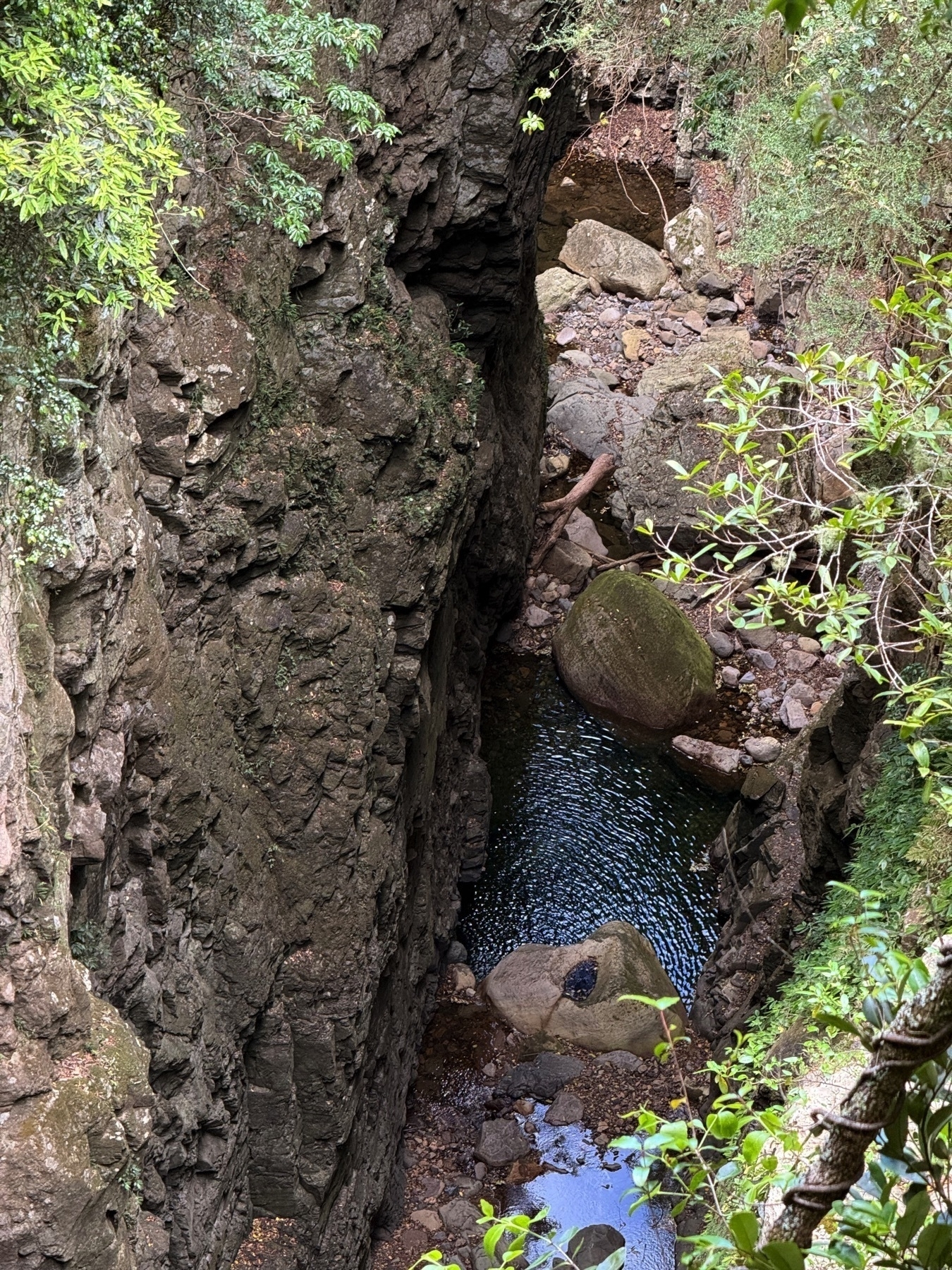 Zoomed look at the gorge on the bushwalk at Minnamurra