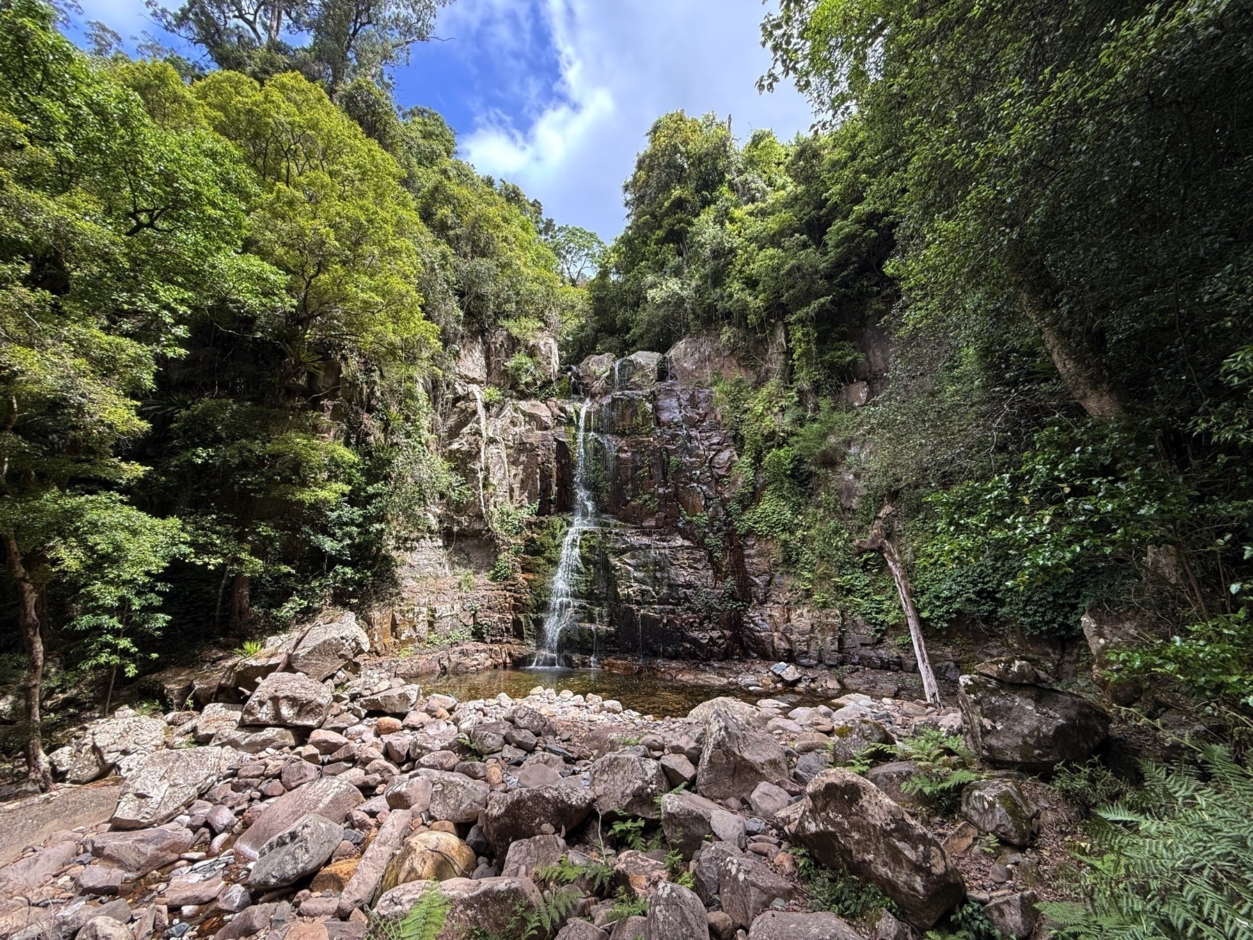 Minnamurra falls 