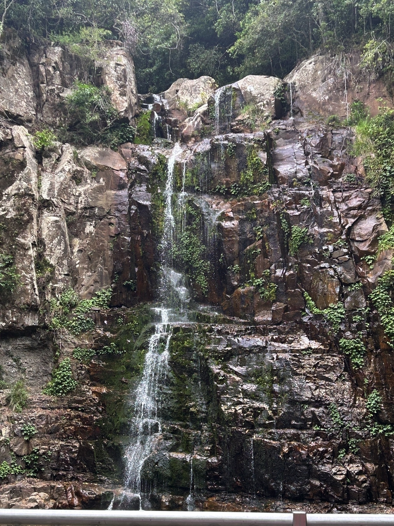 Zoomed view of Minnamurra falls