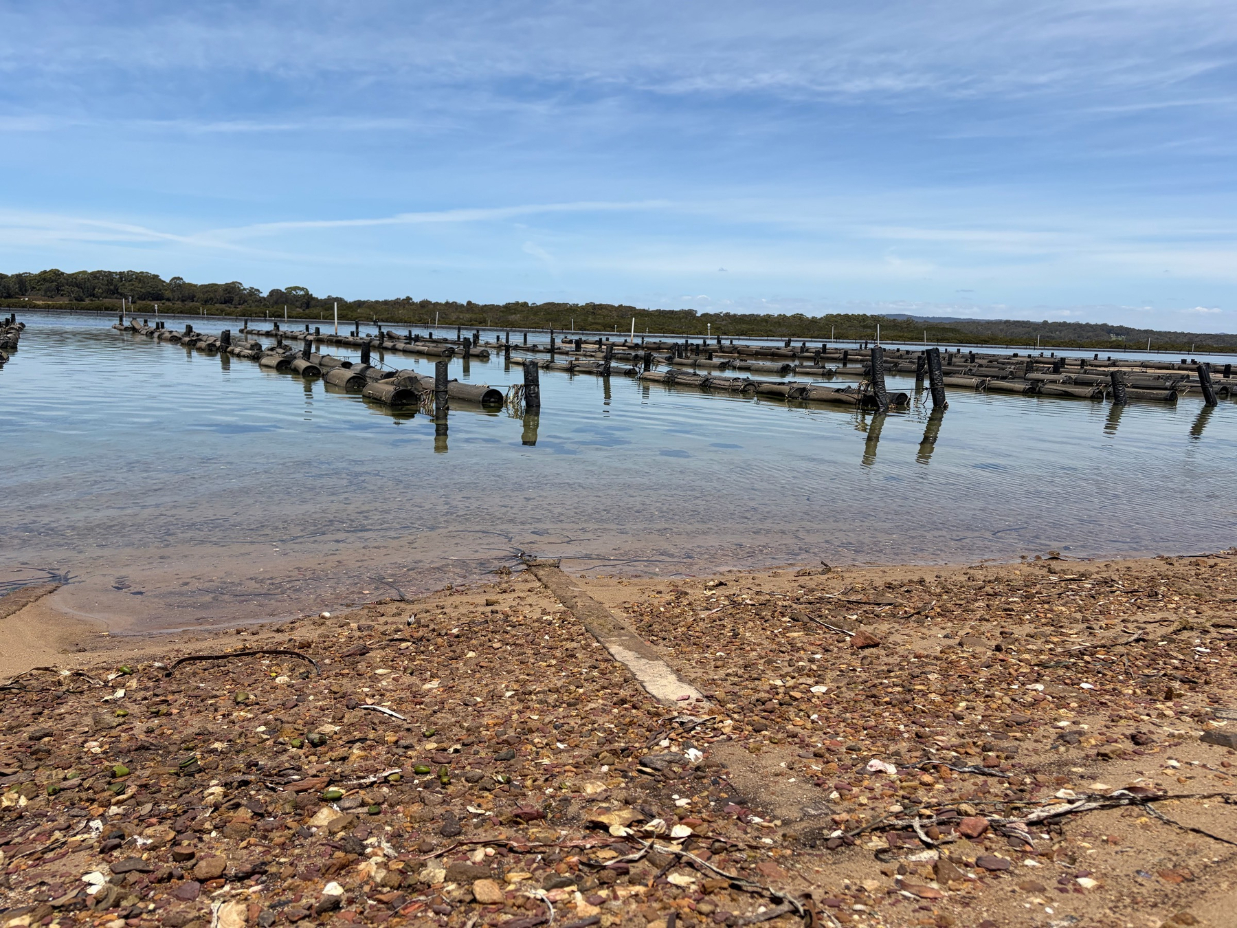 Oyster farm at Merimbula