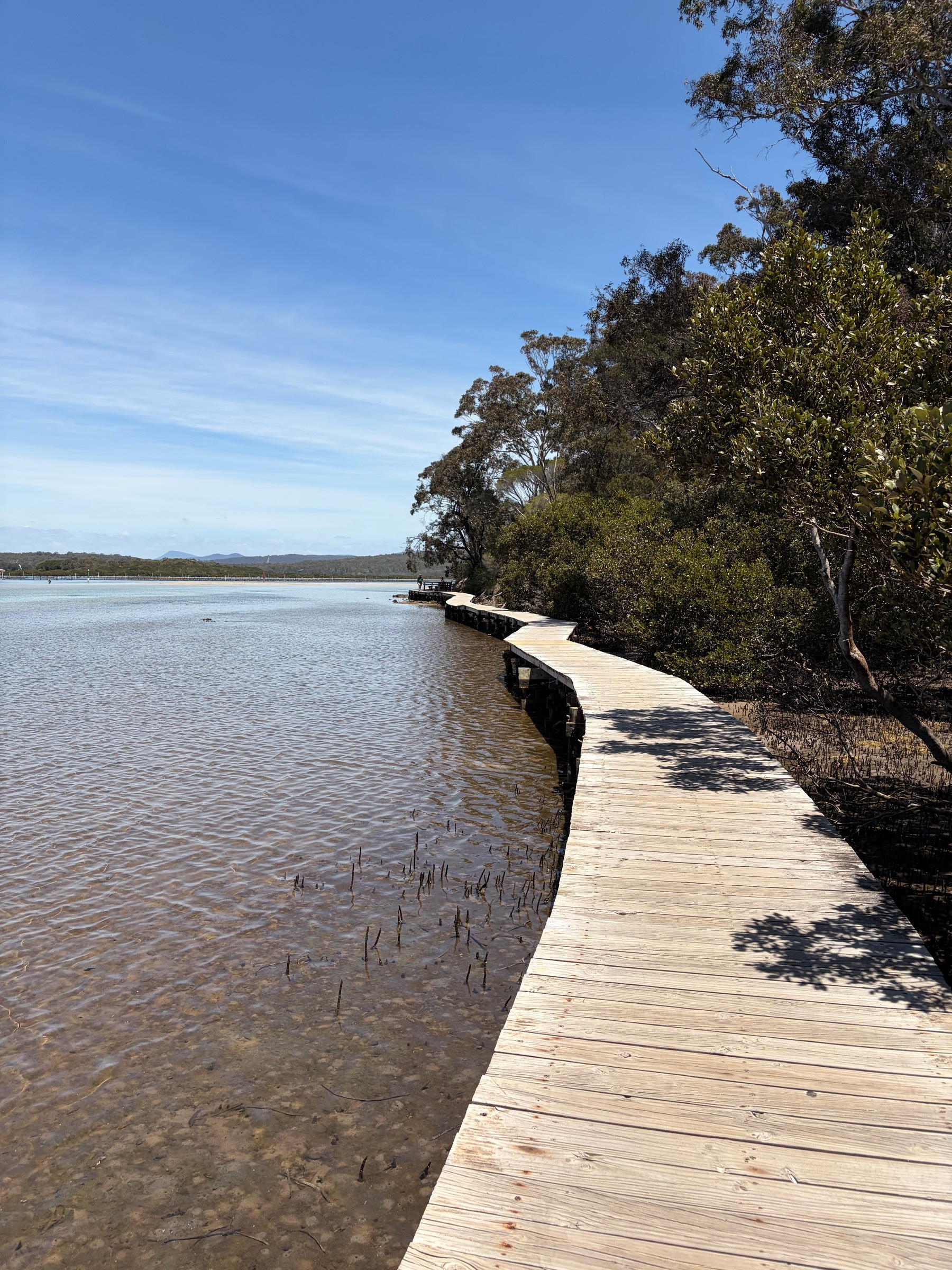 The Merimbula boardwalk over the lake