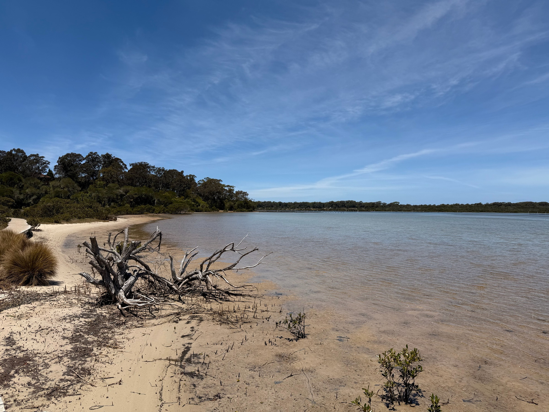 Looking back at the lake in Merimbula