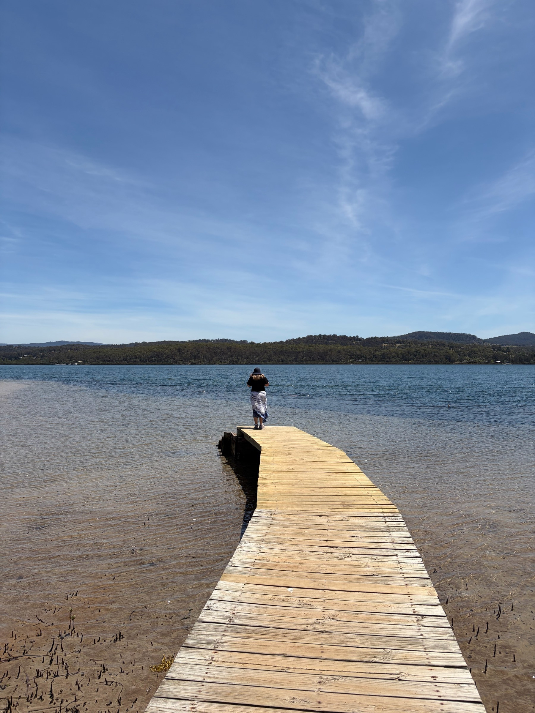 A small extension of the boardwalk over the lake