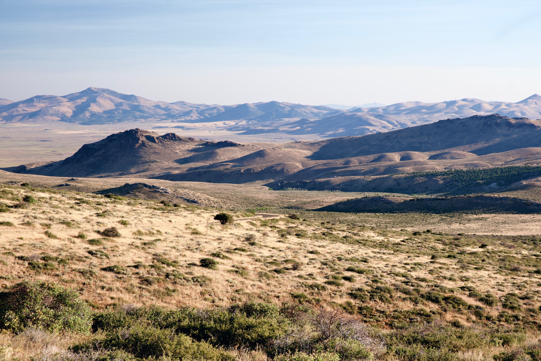 Hills and grasslands of the Humboldt–Toiyabe National Forest