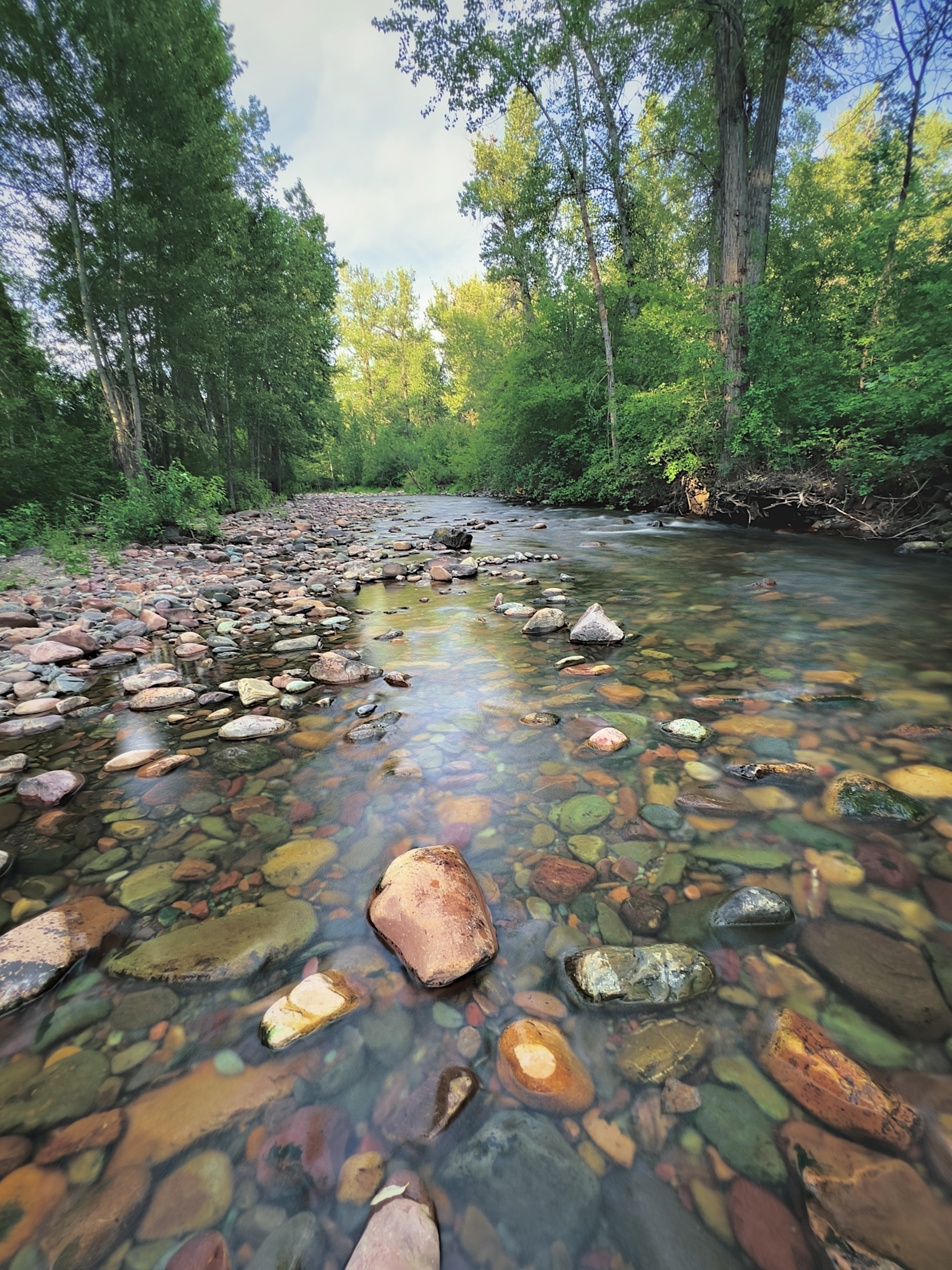 Creek with multi-colored rocks.