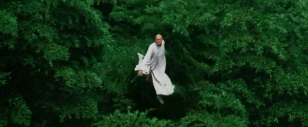 a gif of a be-robed martial artist floating effortlessly through trees