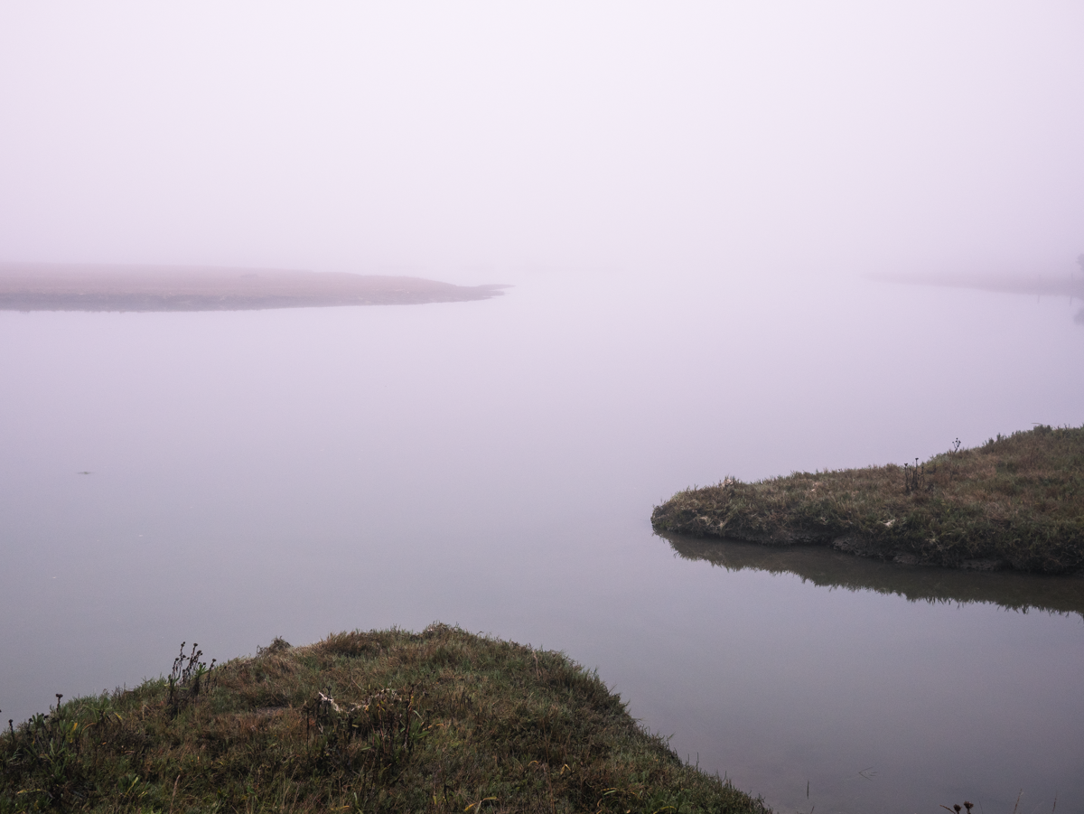 A photo of a foggy delta with islands and still water.