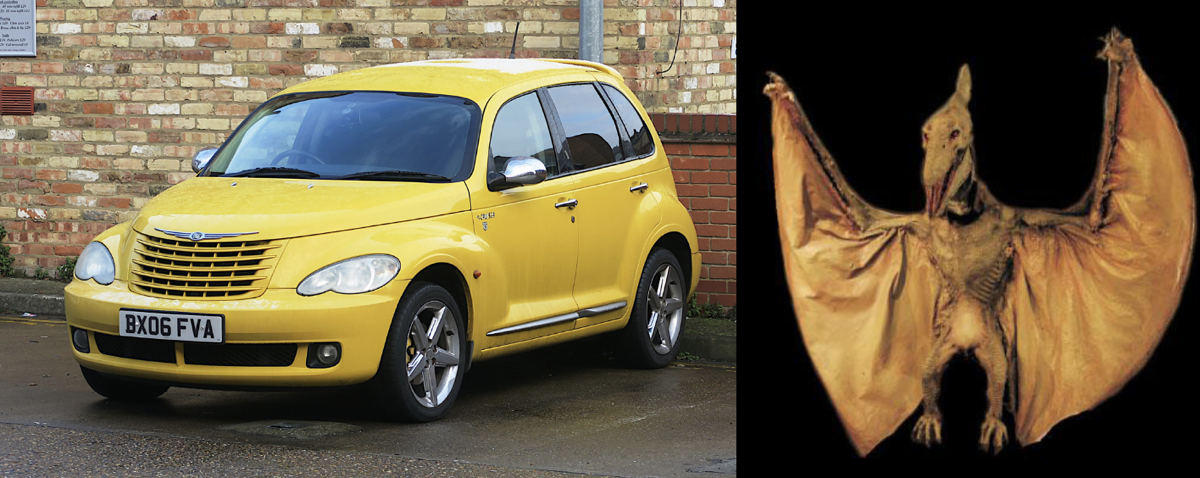 An image of a yellow PT cruiser next to a yellow pterodactyl
