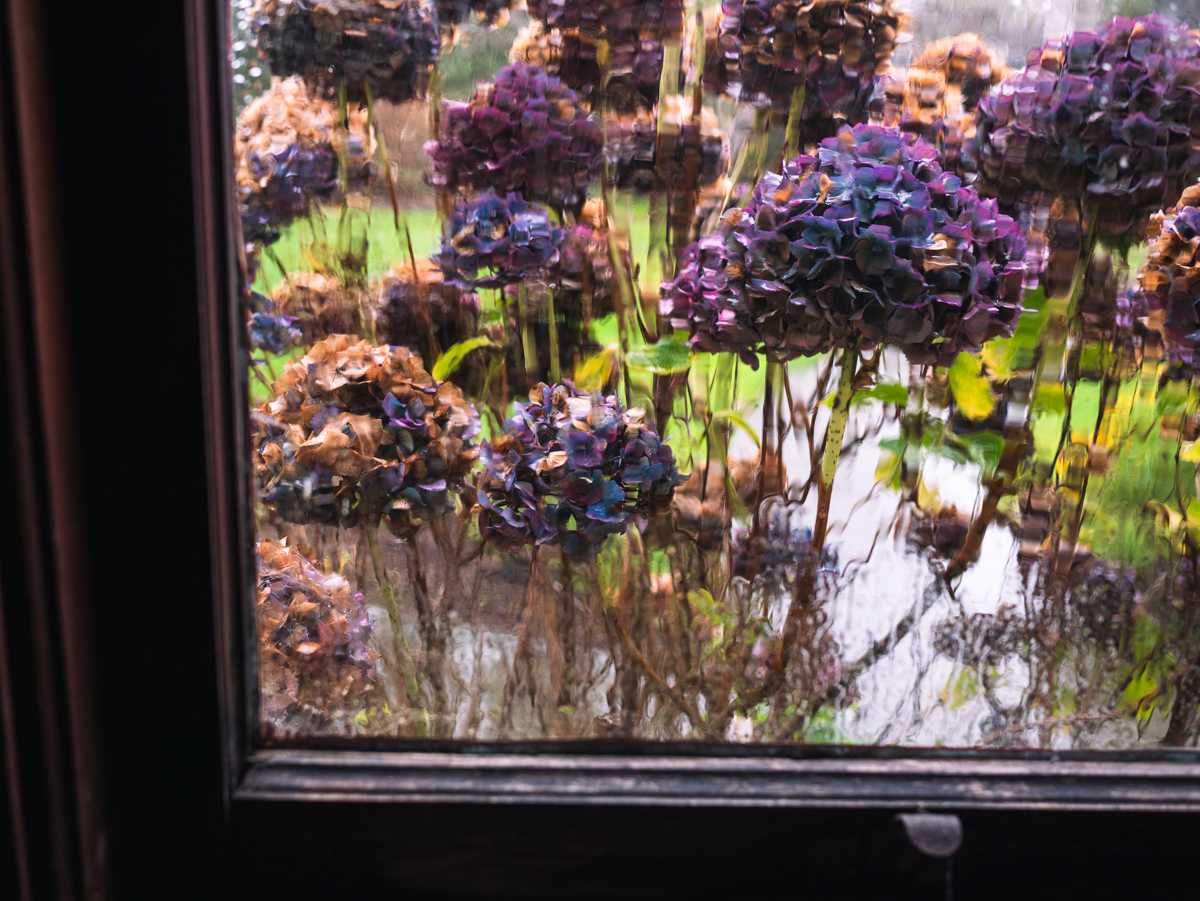 A photo of bougainvilleas taken through a rain-streaked window