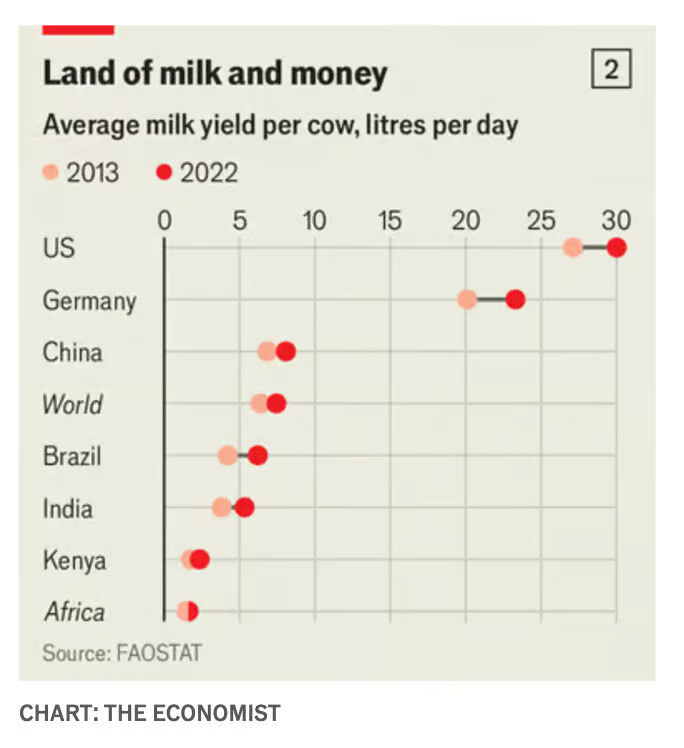 3c869da5 b2db 42cb a95d e56e8e9c90ab_684x748.jpg.