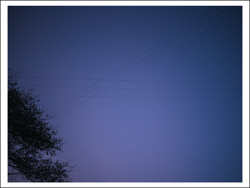 A photograph of power lines crossing against a dim blue sky, with silhouetted branches in the lower left corner