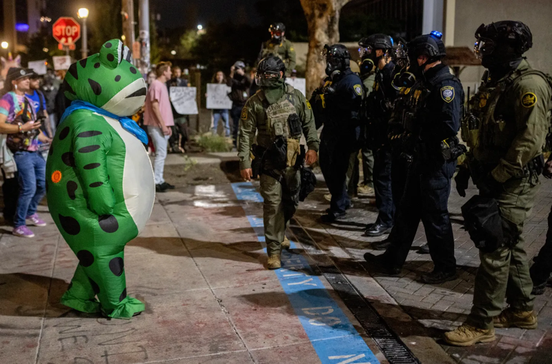 A photo of a person in an inflatable frog costume facing off against a half-dozen heavily armed federal agents amids a protest setting