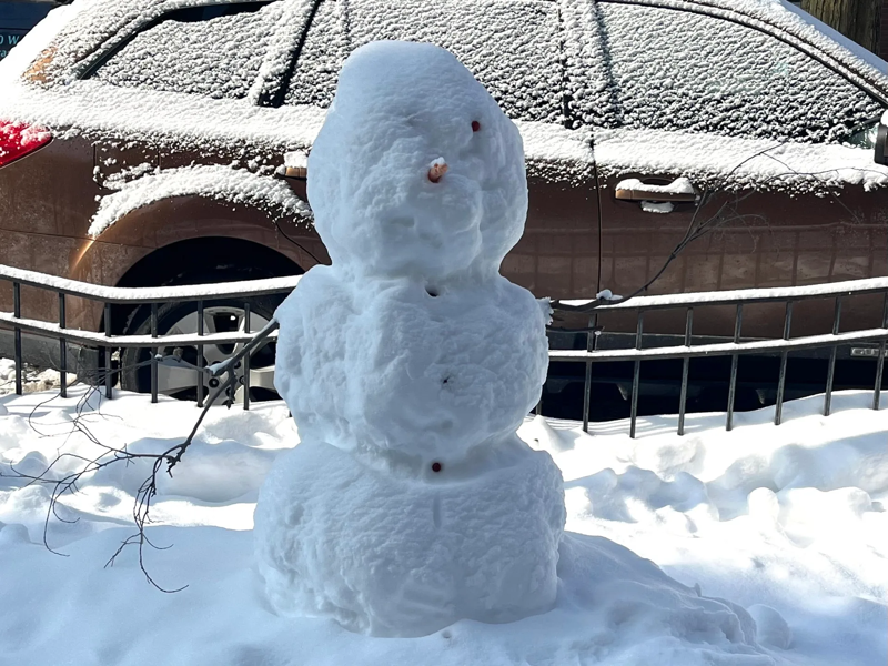 A photograph of the same snowman, now dusted with snow so that one eye is hidden.
