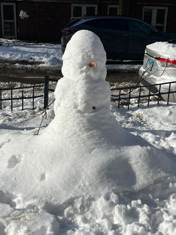 A photo of a snowman who has been somewhat blanketed in snow so that you can't see his lower half or his eyes. All you can see is his carrot nose, which is drooping.