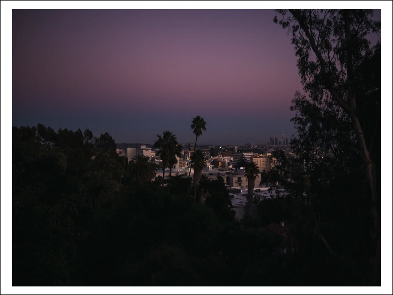 A photo of a dusky sky silhouetted by dark palm trees and other foliage