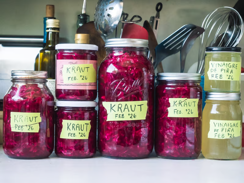 A photo of a bunch of mismatched jars, some red and labeled KRAUT and others yellowish, labeled VINAIGRE DE PIÑA
