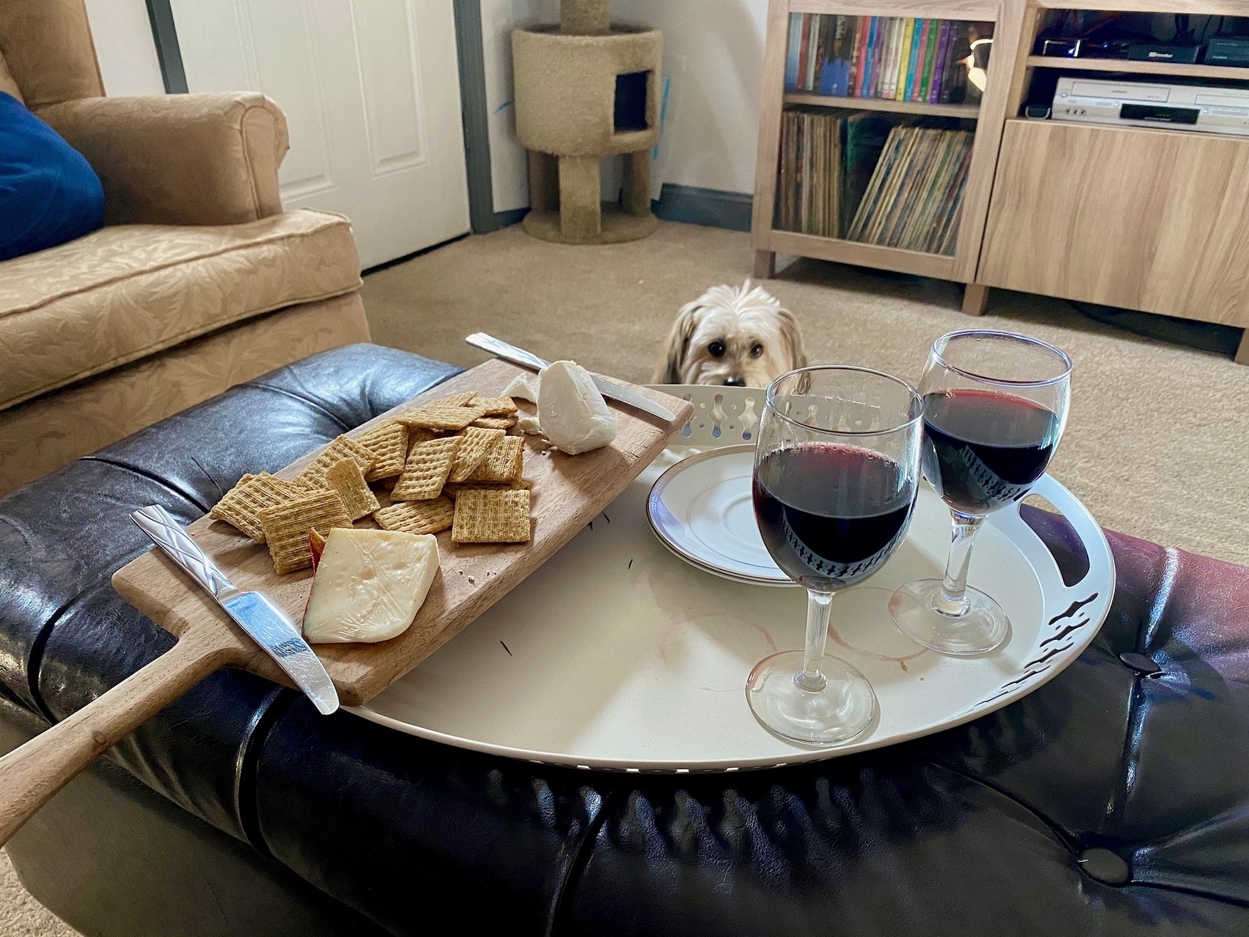 Two stemmed glasses of mulled wine sitting on a tray, next to plates and a cutting board with cheese, crackers, and knives. The tray is on top of a black ottoman, with the head of a white dog staring at the tray in the background.