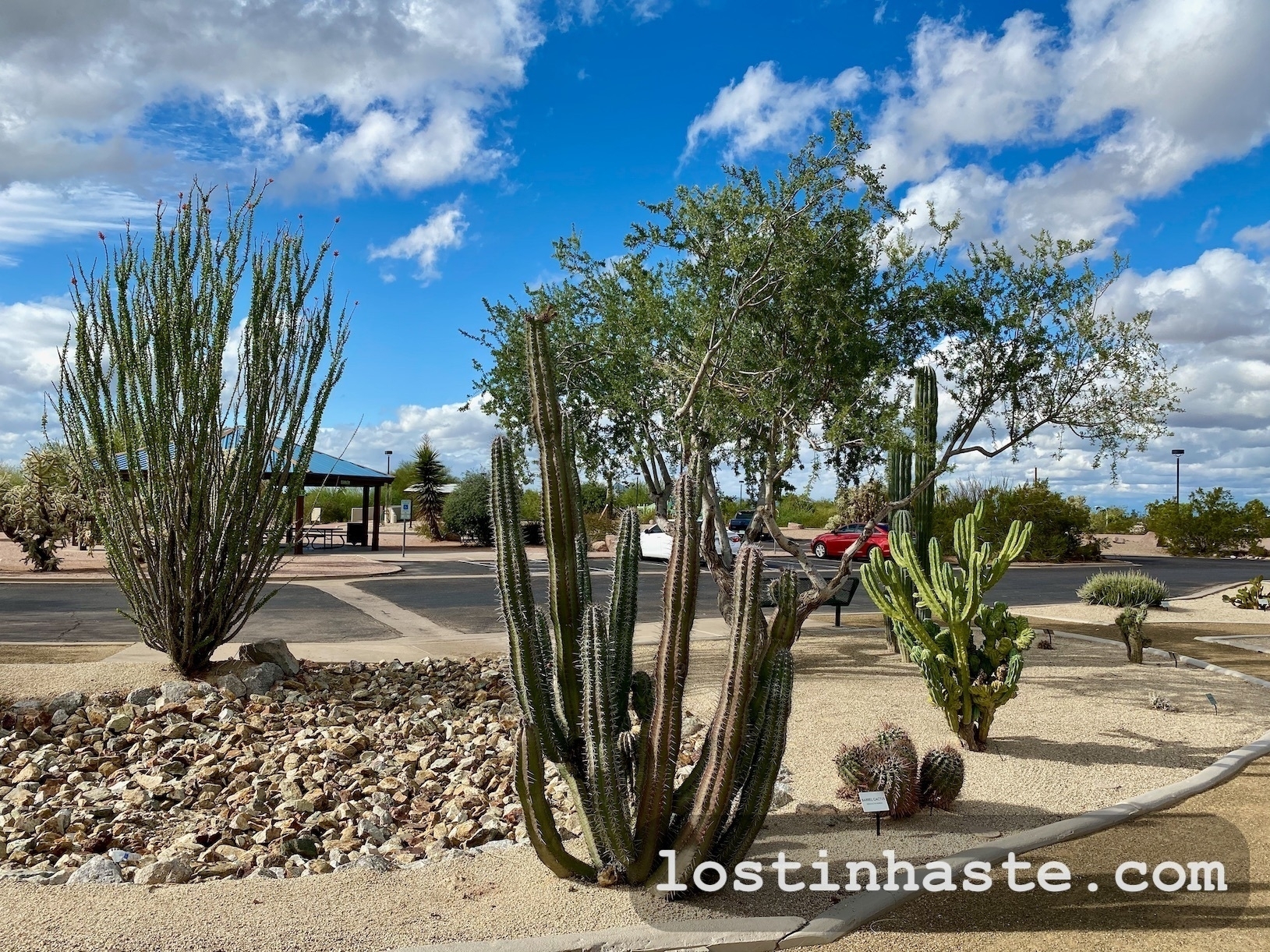 Various cacti and desert shrubs occupy a landscaped area, under a partly cloudy sky. The text 'lostinahaste.com' overlays the bottom right.