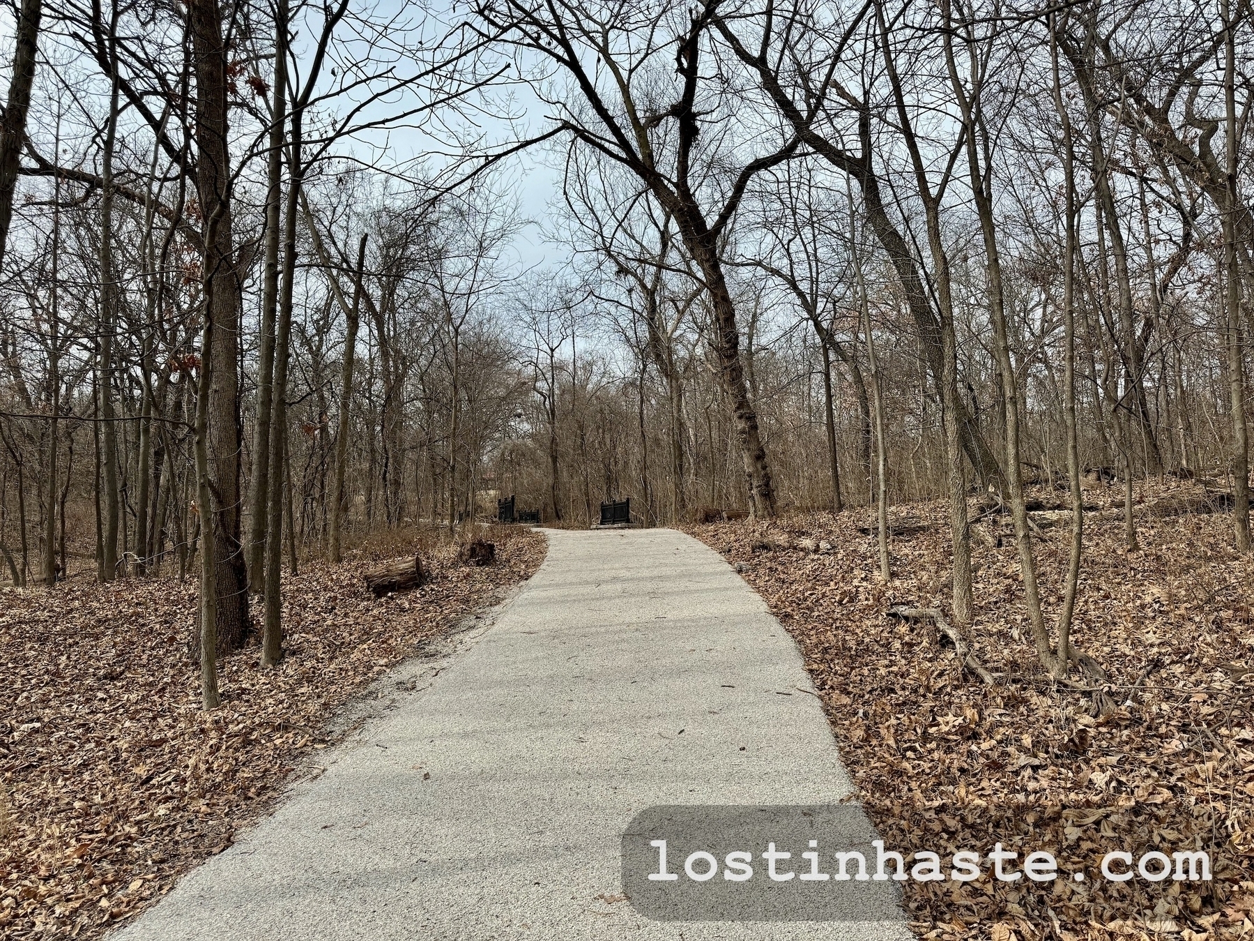 A winding concrete path leads through a barren, leaf-strewn woodland.