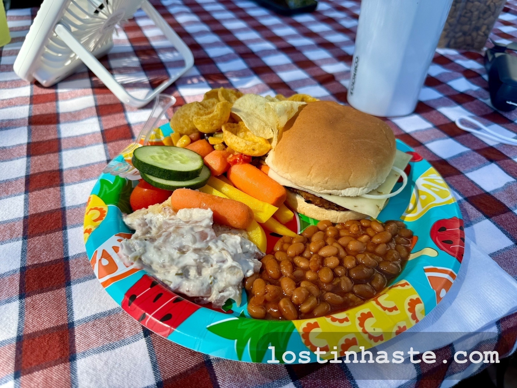 A colorful plate holds a variety of picnic foods, including a burger, chips, baked beans, and raw vegetables, on a checkered tablecloth outdoors.