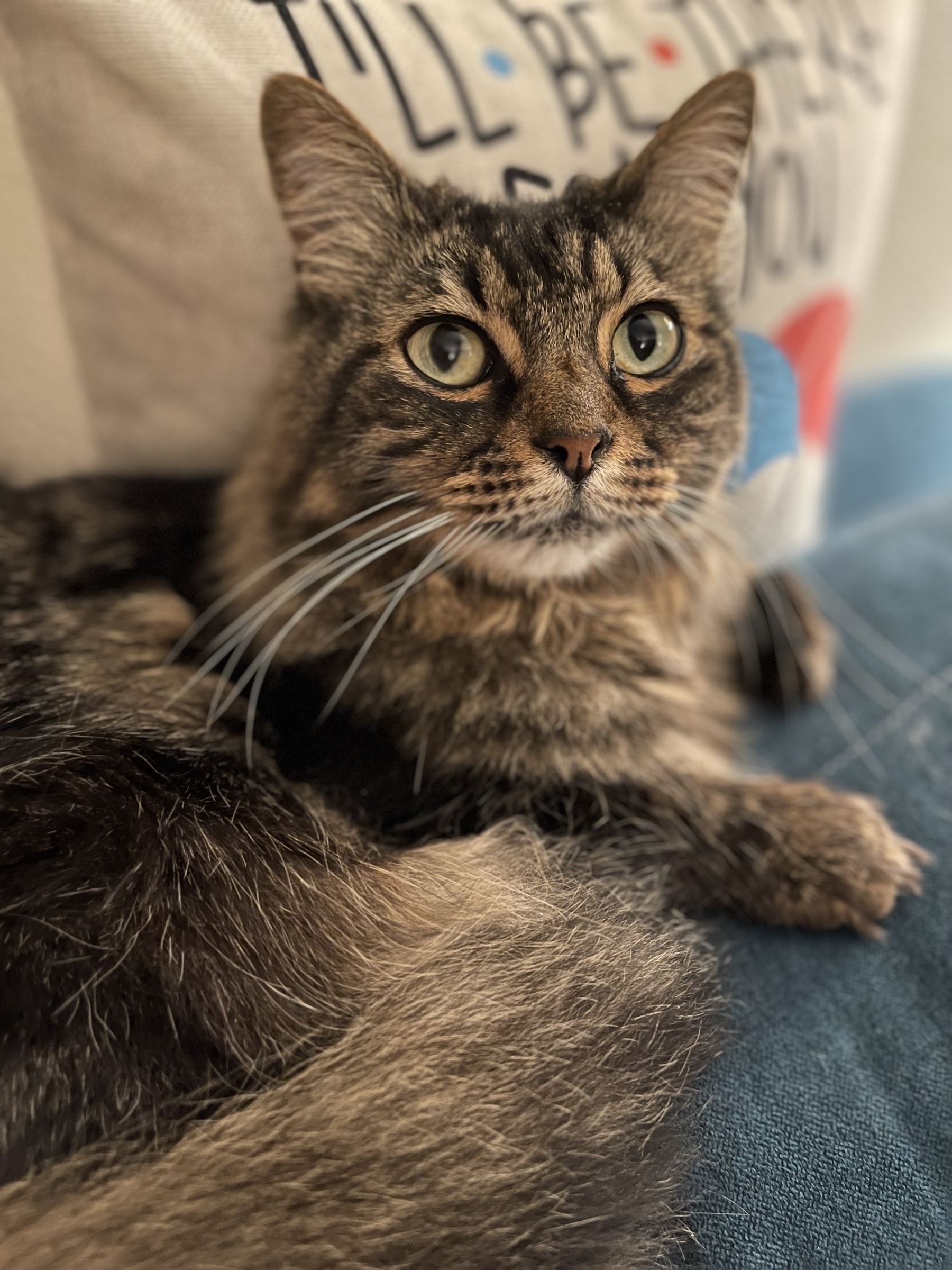 Finn