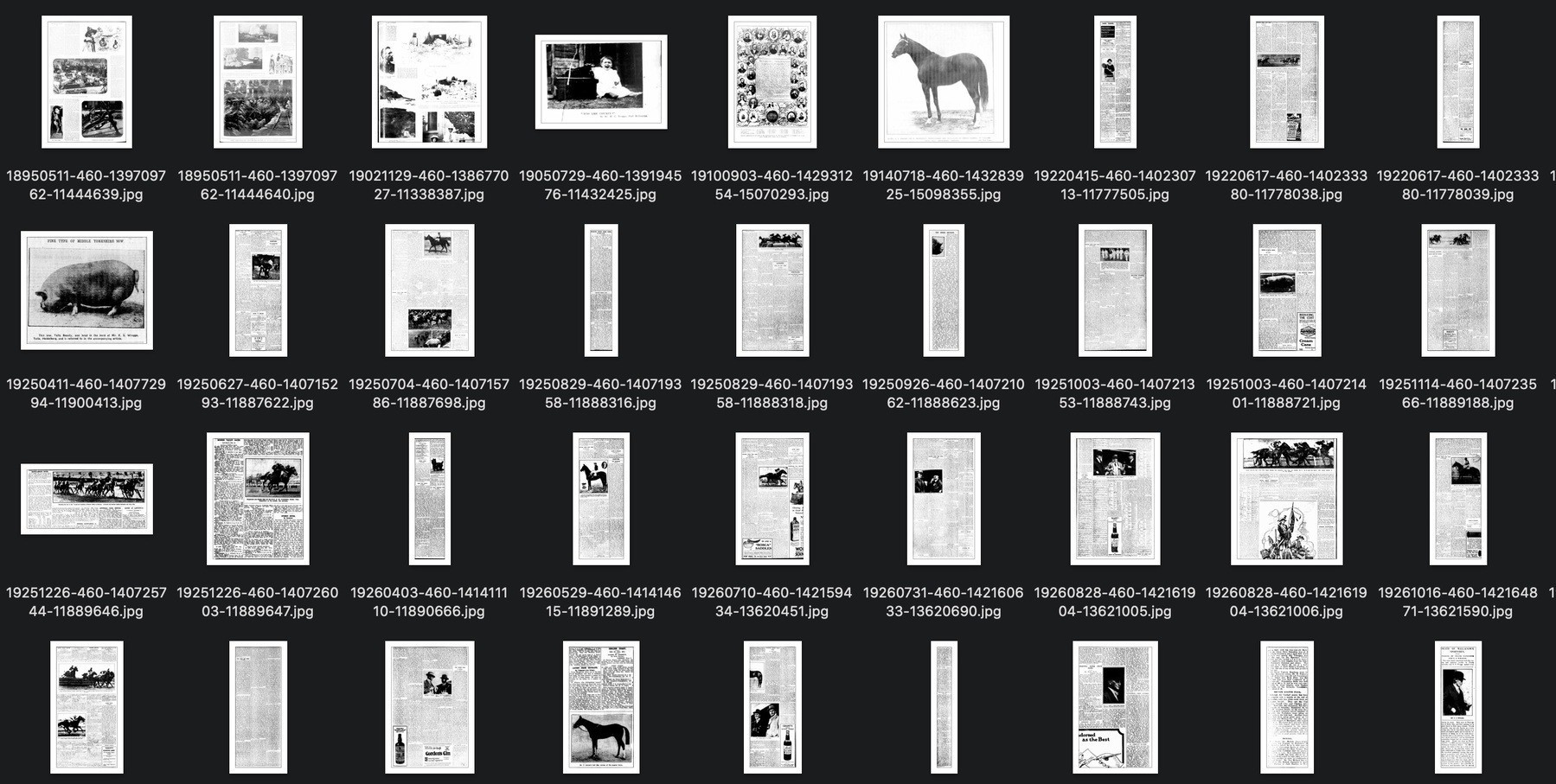 Thumbnails of newspaper articles saved as images