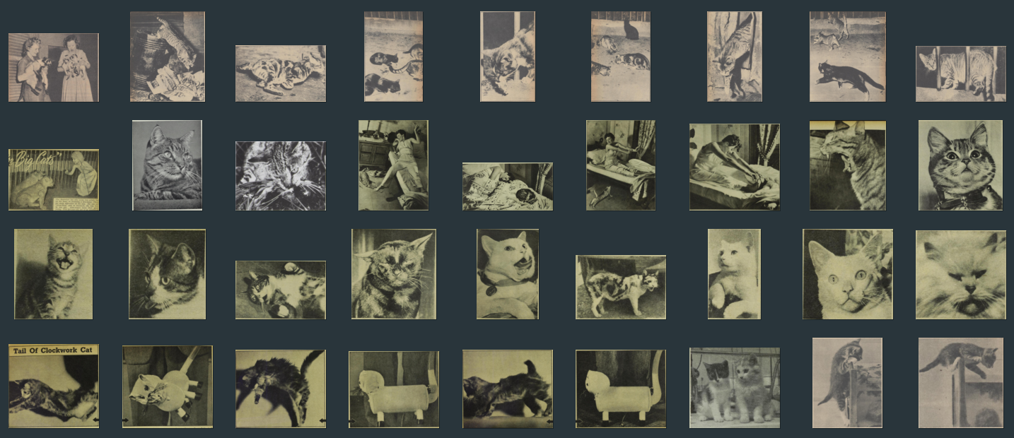 Thumbnails of cat photos extracted from periodicals.