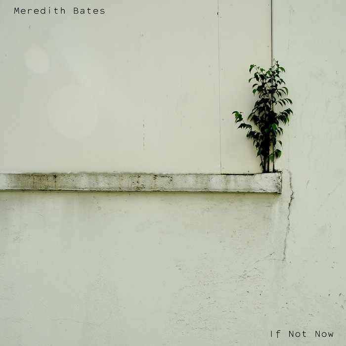 Cover image for the album If Not Now by Meredith Bates, showing a flat blank wall and the bottom right corner of a boarded up window and window sill; precariously rooted at the corner of the sill, a small plant is growing