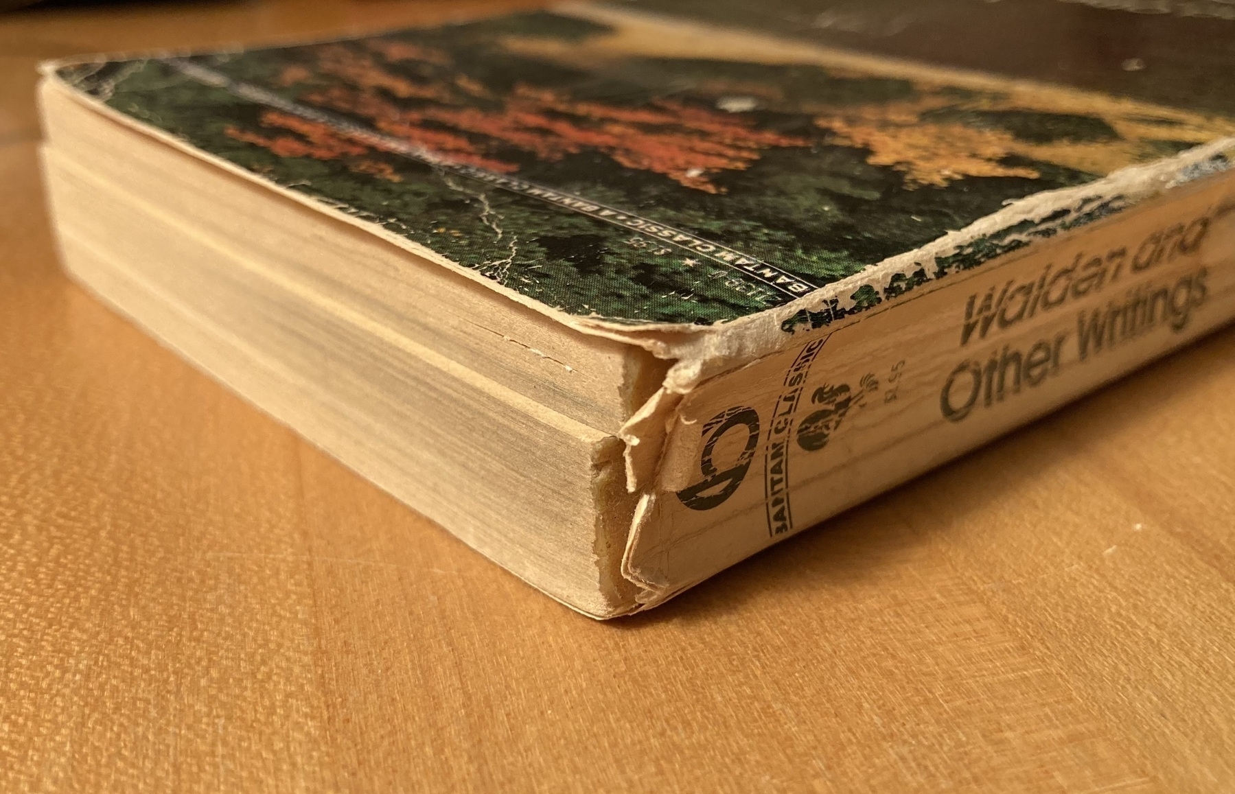 The ragged, broken spine of a very old mass-market paperback of Walden