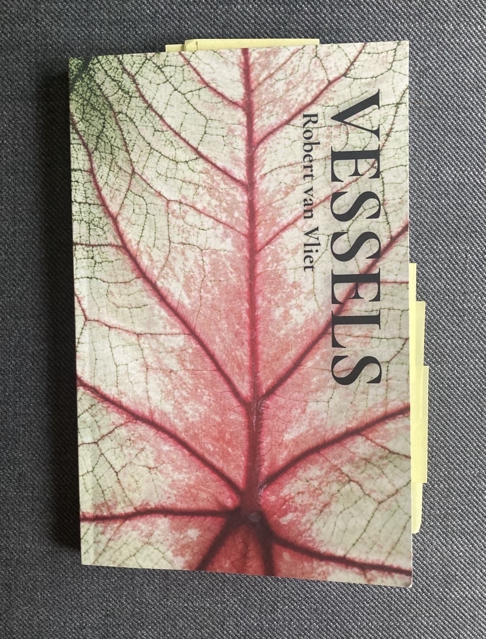 A copy of Vessels with post-it notes sticking out the top and sides, marking poems I might read at upcoming events.