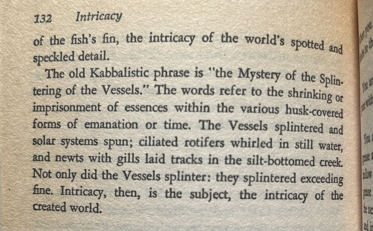 Annie Dillard, Pilgrim at Tinker Creek: The old Kabbalistic phrase is “the Mystery of the Splintering of the Vessels.” The words refer to the shrinking or imprisonment of essences within the various husk-covered forms of emanation or time. The Vessels splintered and solar systems spun; ciliated rotifers whirled in still water, and newts with gills laid tracks in the silt-bottomed creek. Not only did the Vessels splinter: they splintered exceeding fine. Intricacy, then, is the subject, the intricacy of the created world.