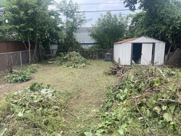 Hague Back Yard After