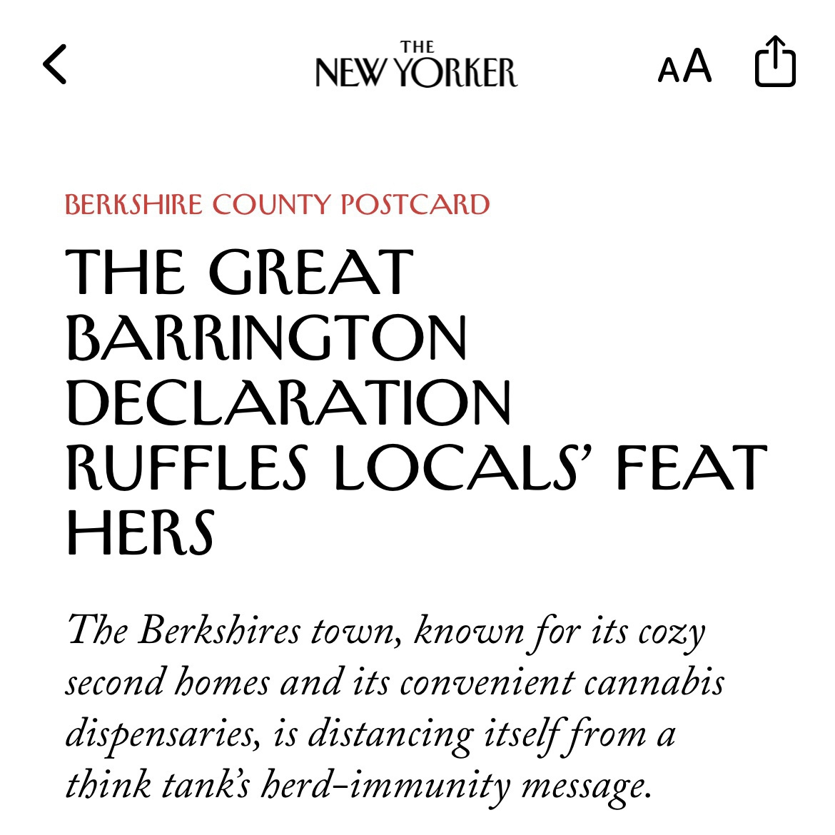 New Yorker article from iPhone with headline: THE GREAT BARRINGTON DECLARATION RUFFLES LOCALS’ FEAT HERS