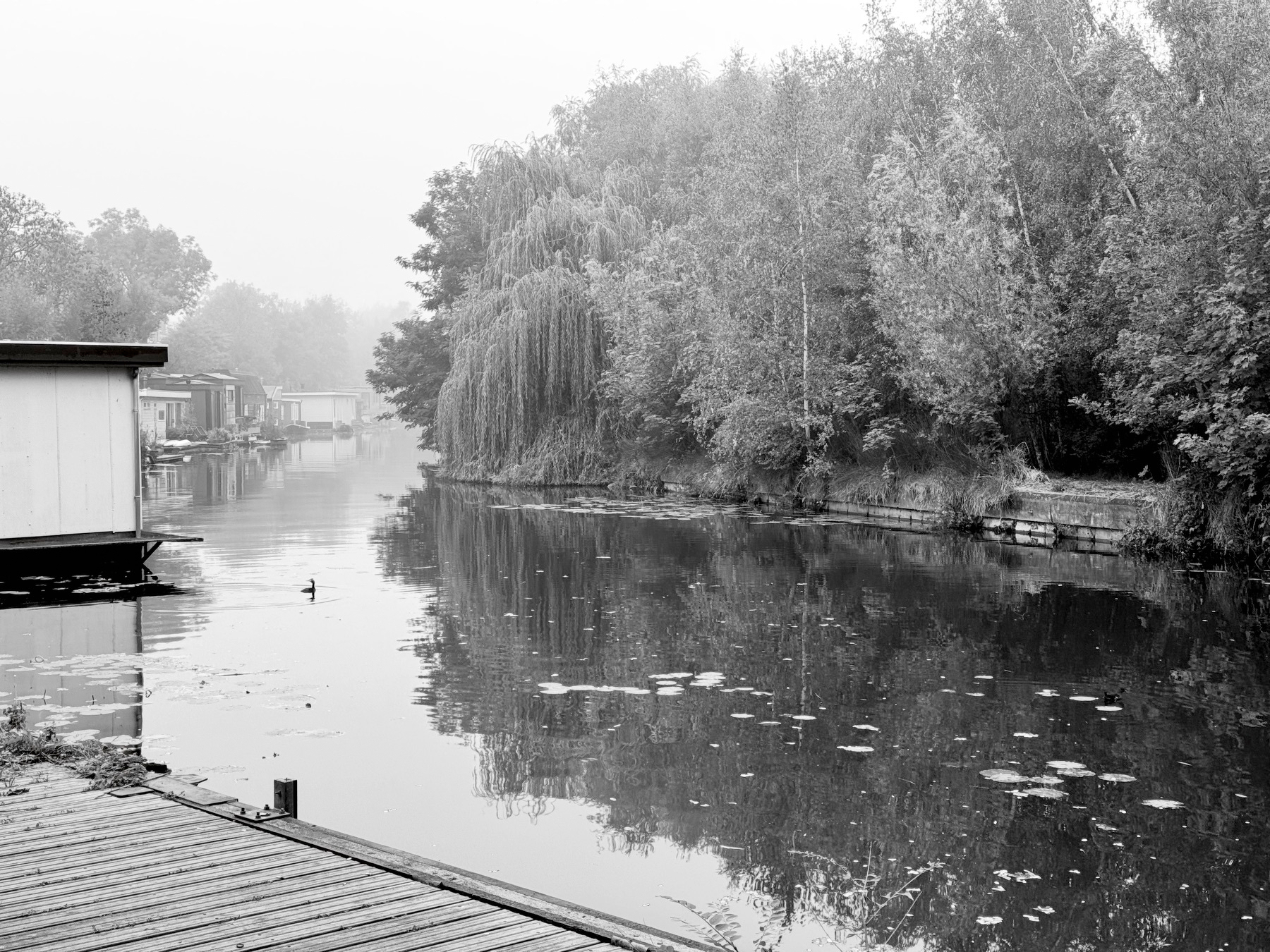 Canal in Utrecht, with house boat and a swiming bird