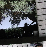 silhouettes reflected on a pond. does anyone read these?