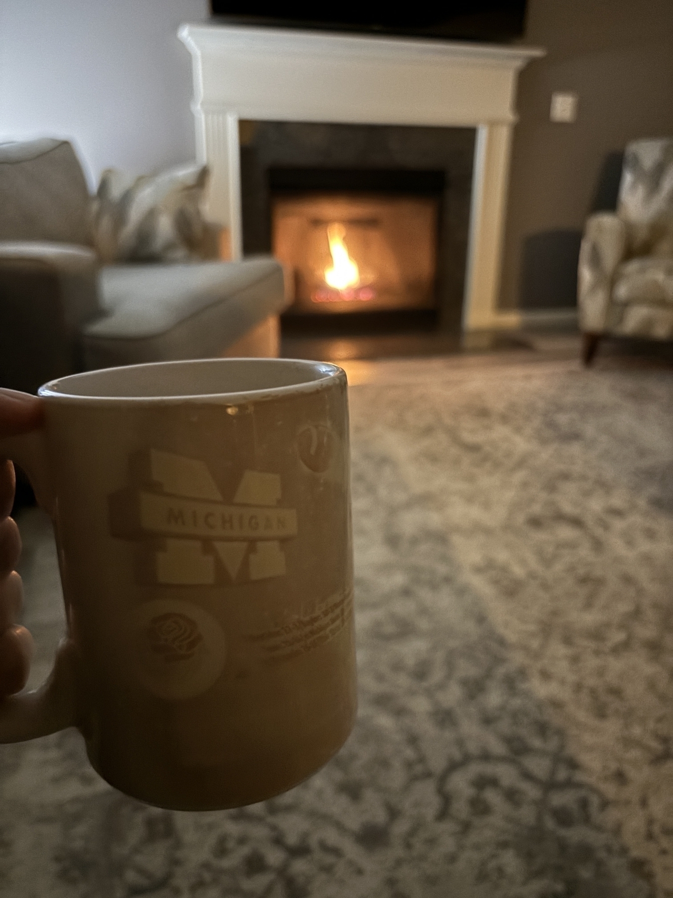 A university of Michigan mug in front of an inviting fire. 