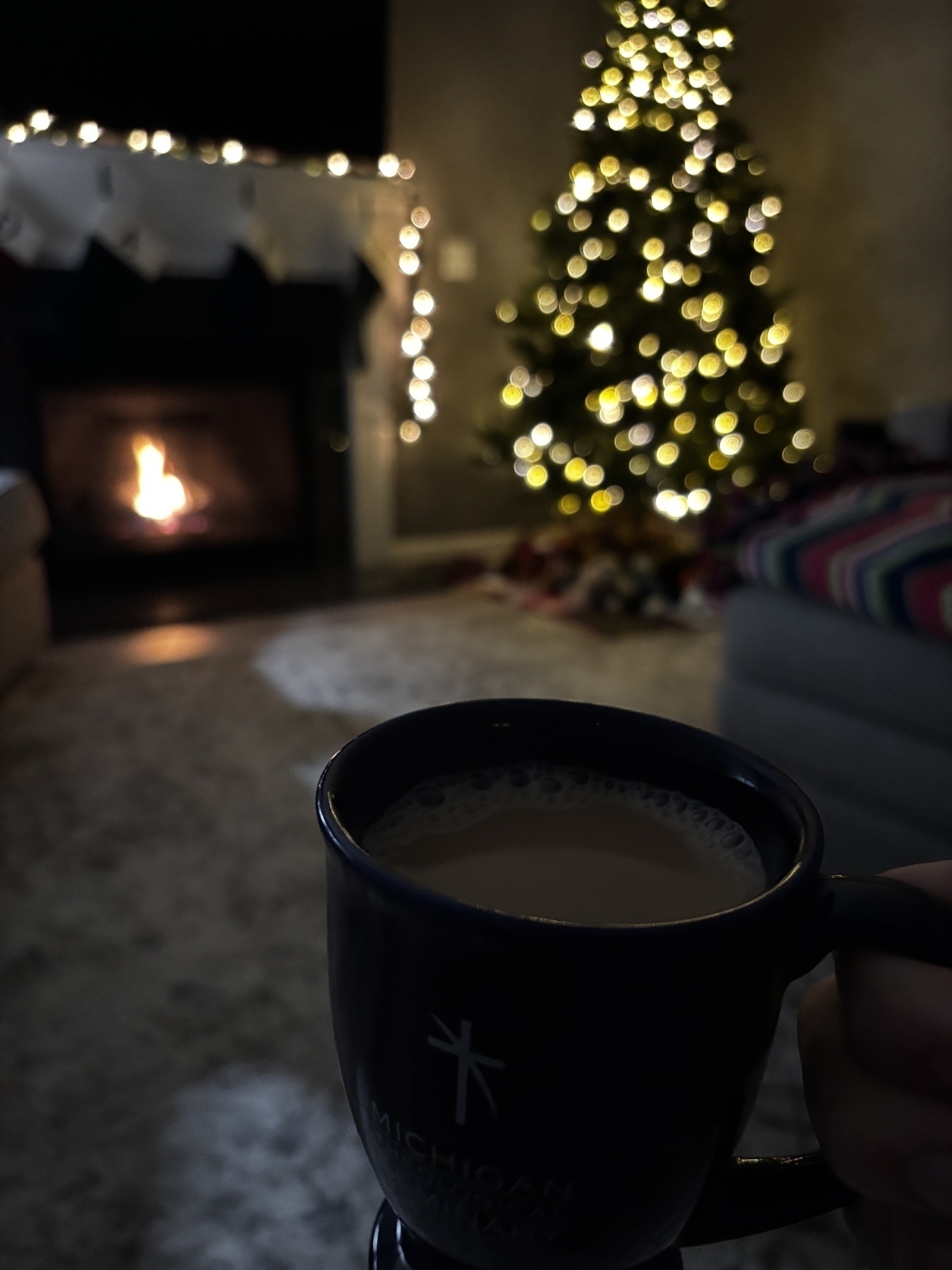 A cozy living room features a lit Christmas tree, a fireplace, and someone holding a mug of coffee.