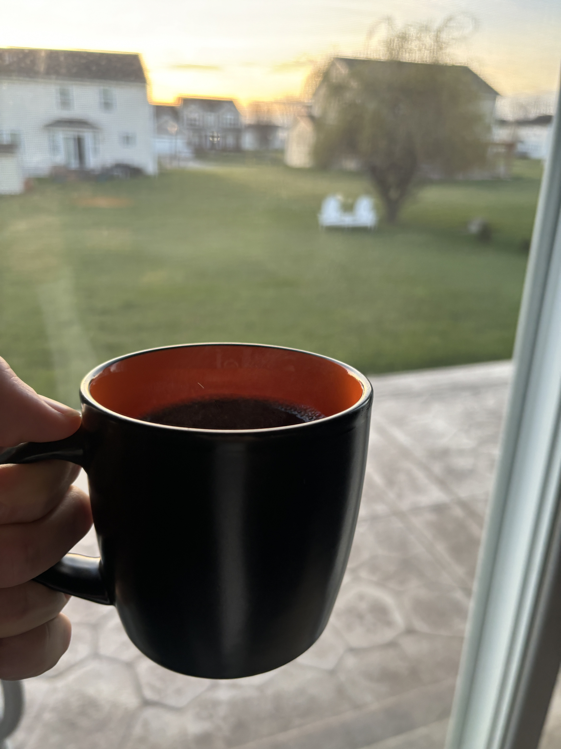 black coffee mug overlooking my backyard