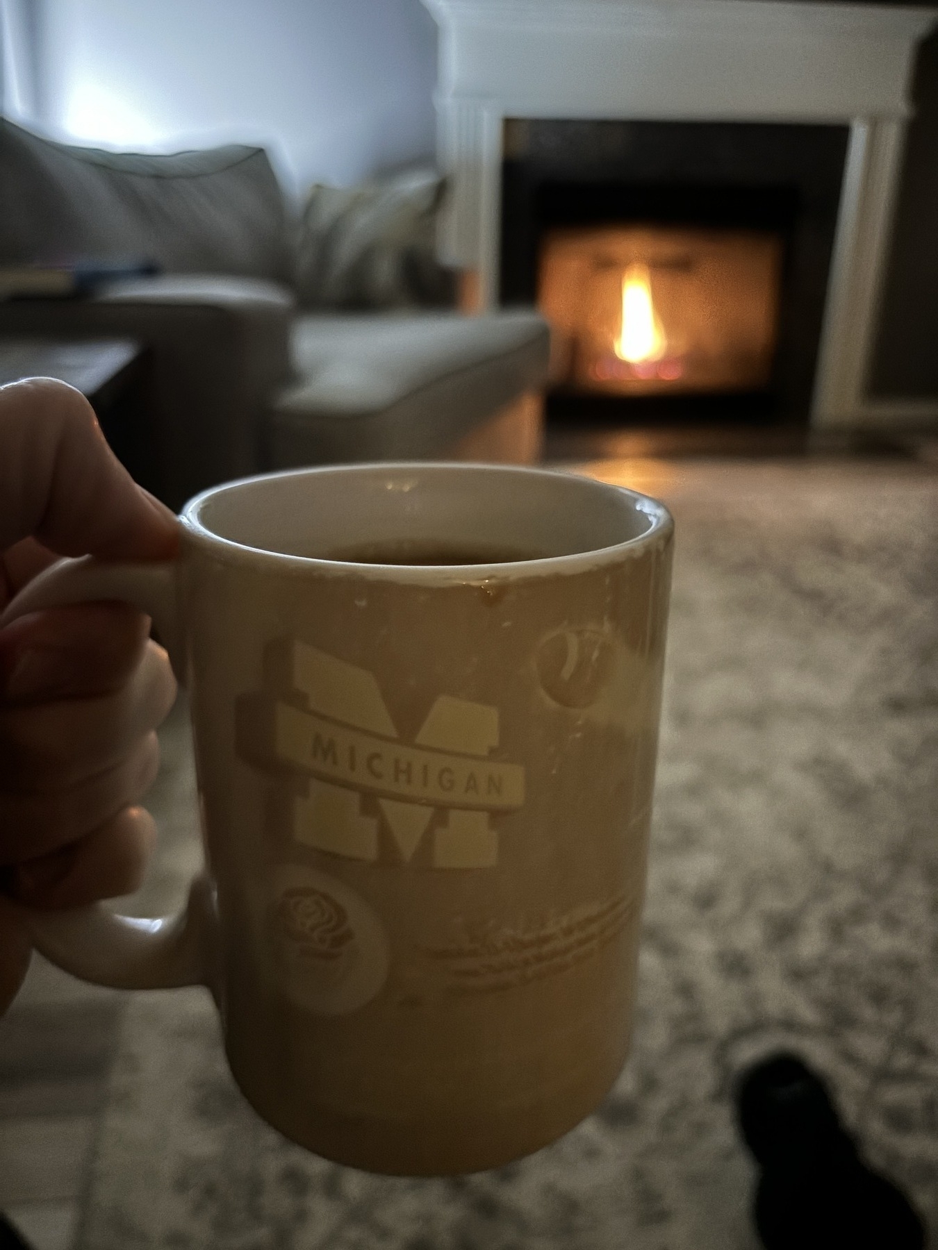 A university of Michigan coffee mug in front of an inviting fire. 