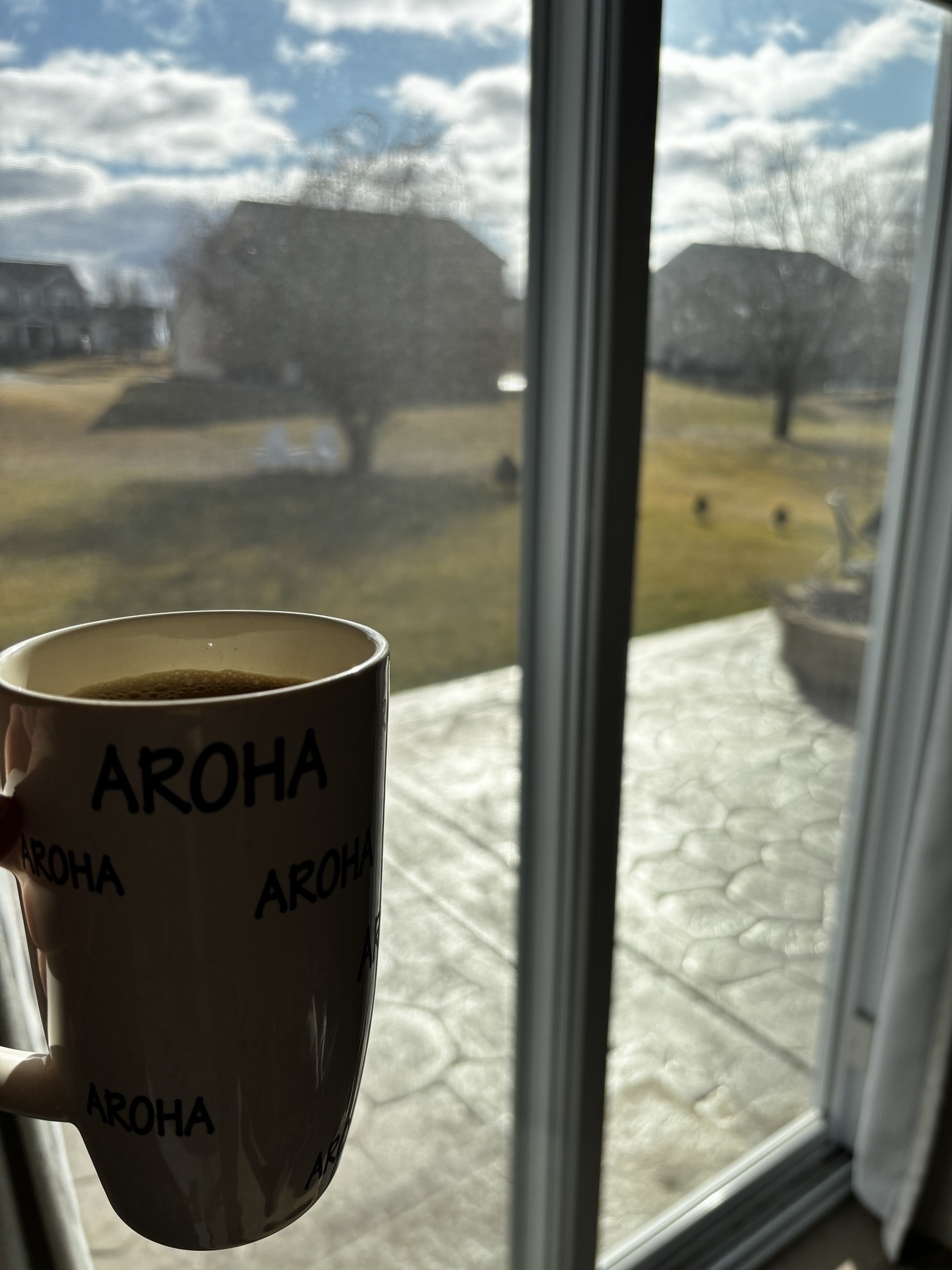 Coffee mug in the foreground with a sunny back yard in the background 