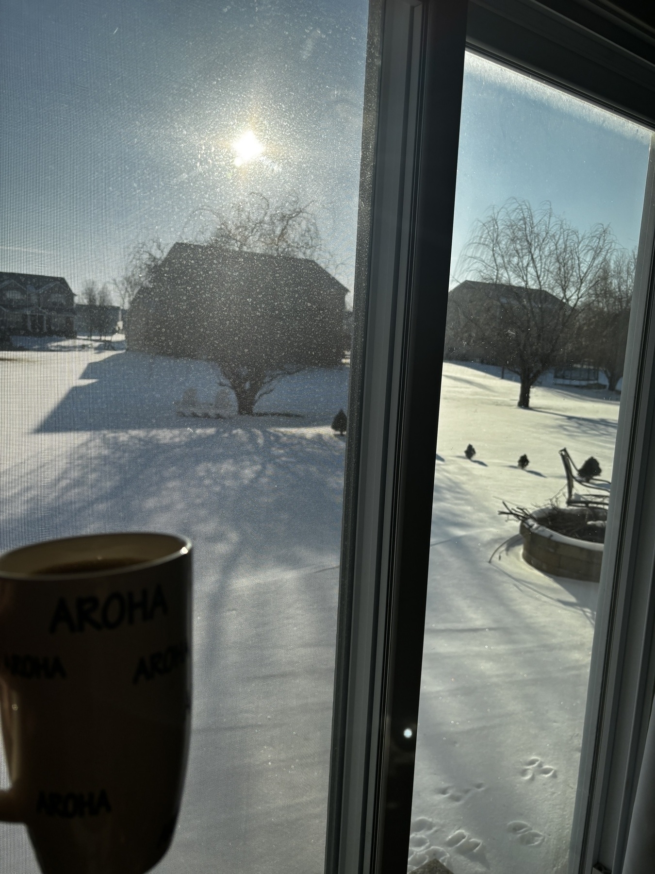 A cup of coffee being held in front of a doorwall with the sun streaming in