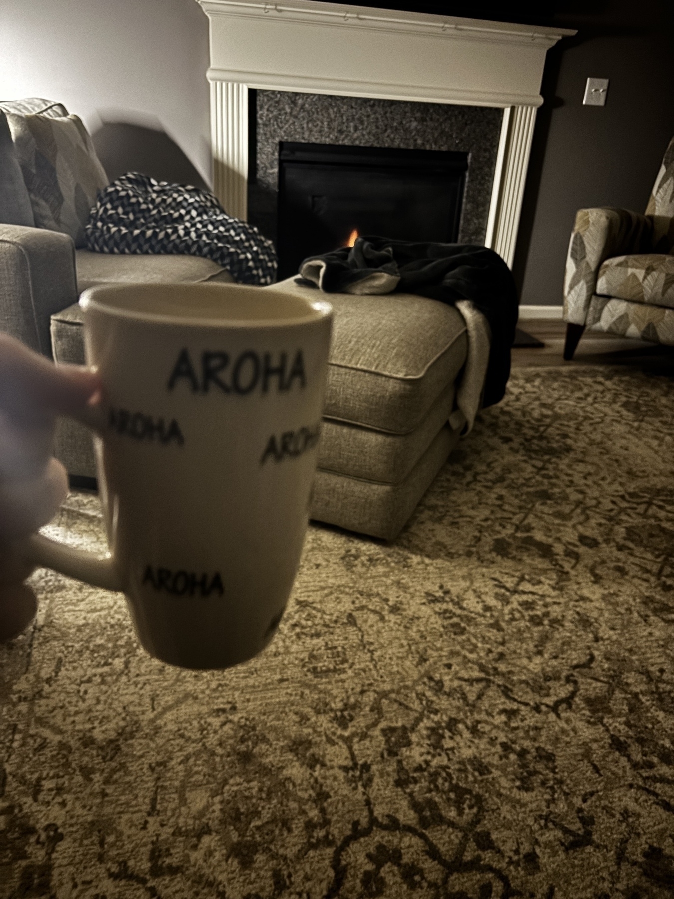 A person holds a mug labeled "AROHA" in a cozy living room with a fireplace and patterned furniture.