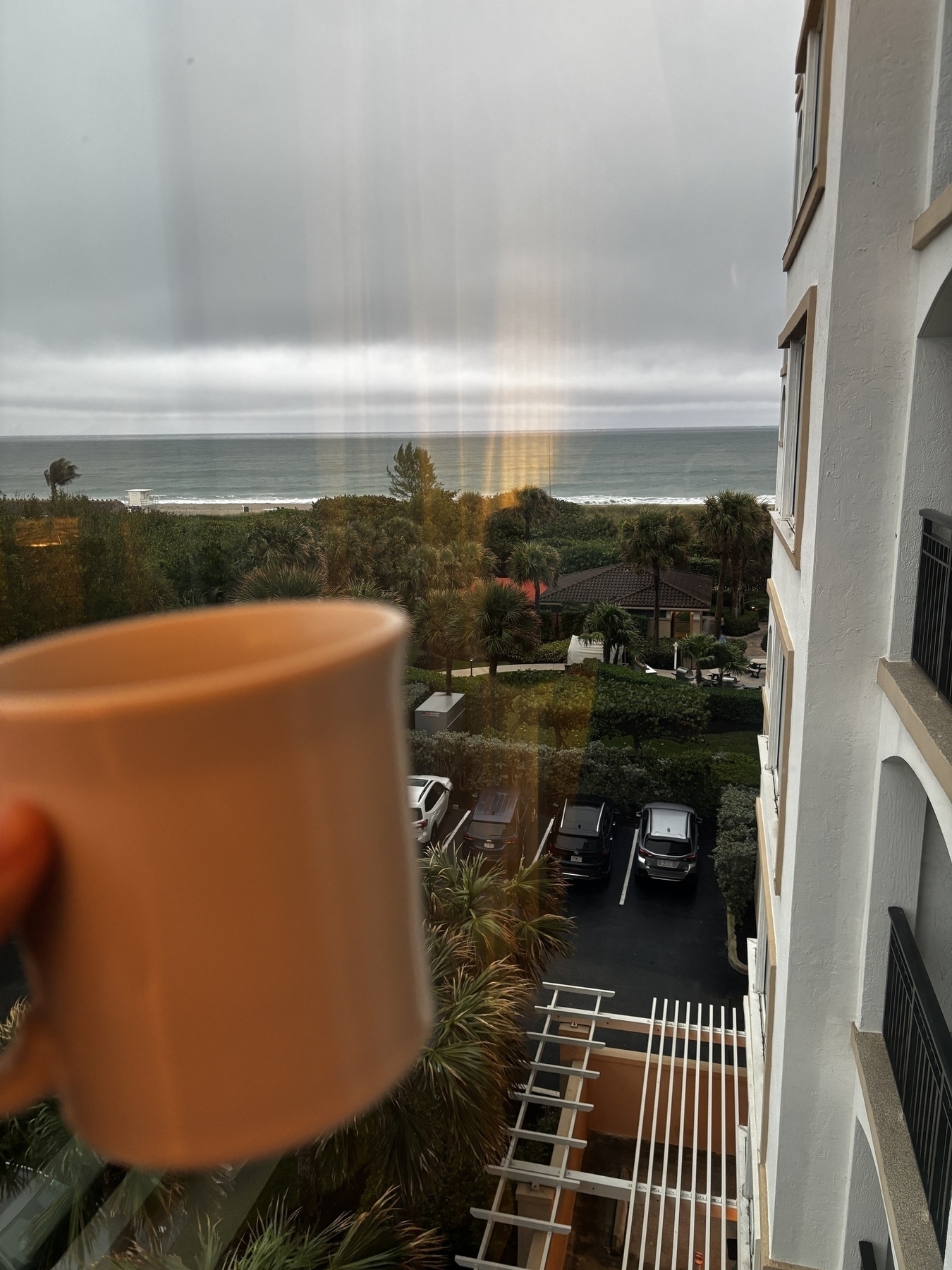 A person holds a coffee mug in front of a window with a view of parked cars, trees, and the ocean in the distance.